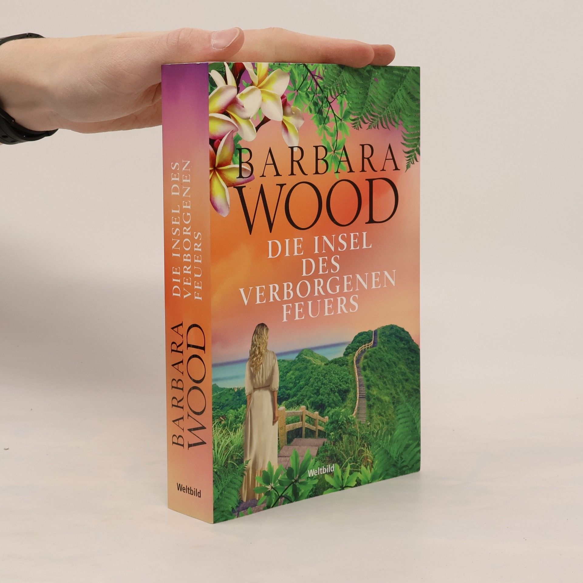 Barbara Wood Die Insel des verborgenen Feuers