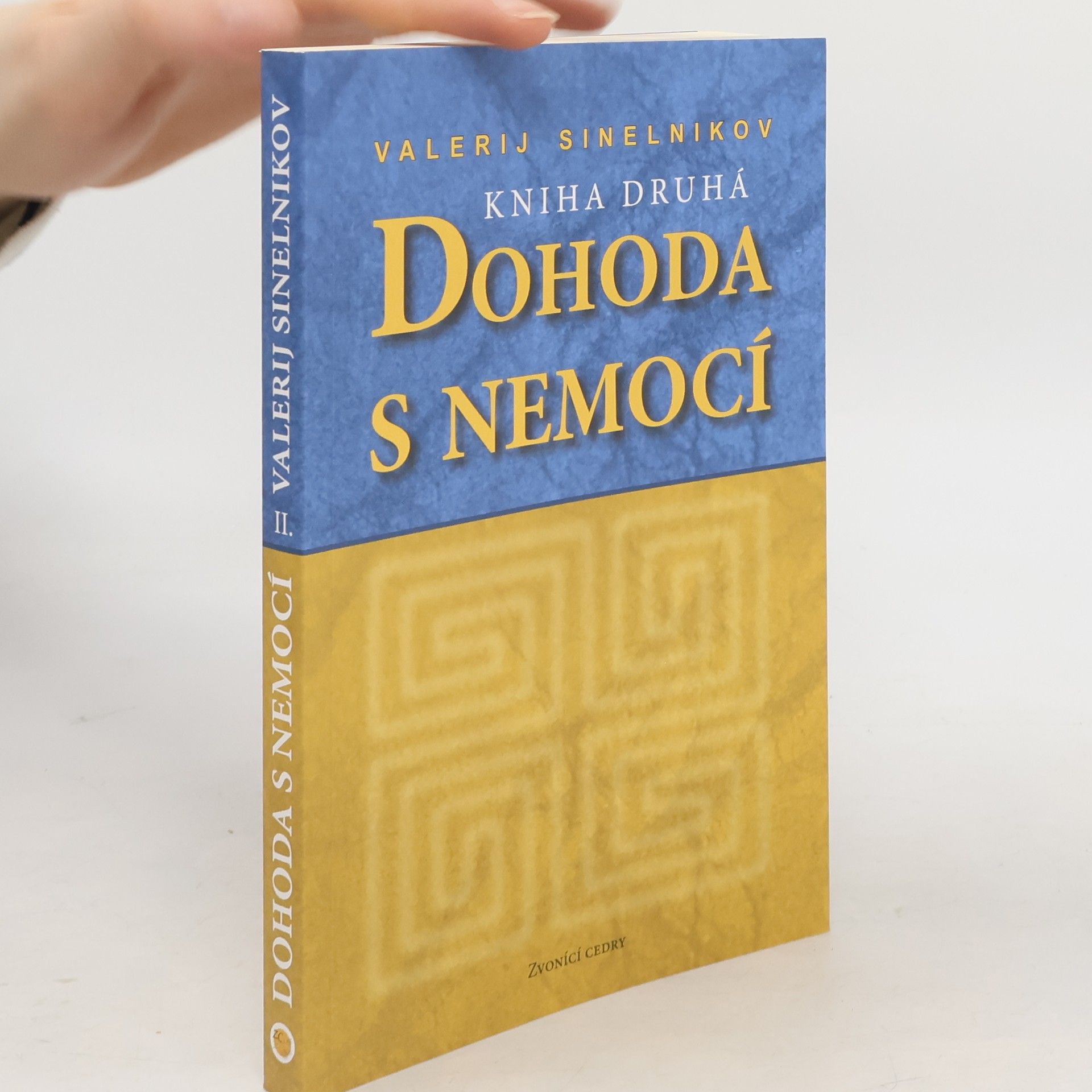 Valerij Vladimirovič Sinelnikov Dohoda s nemocí. Kniha druhá
