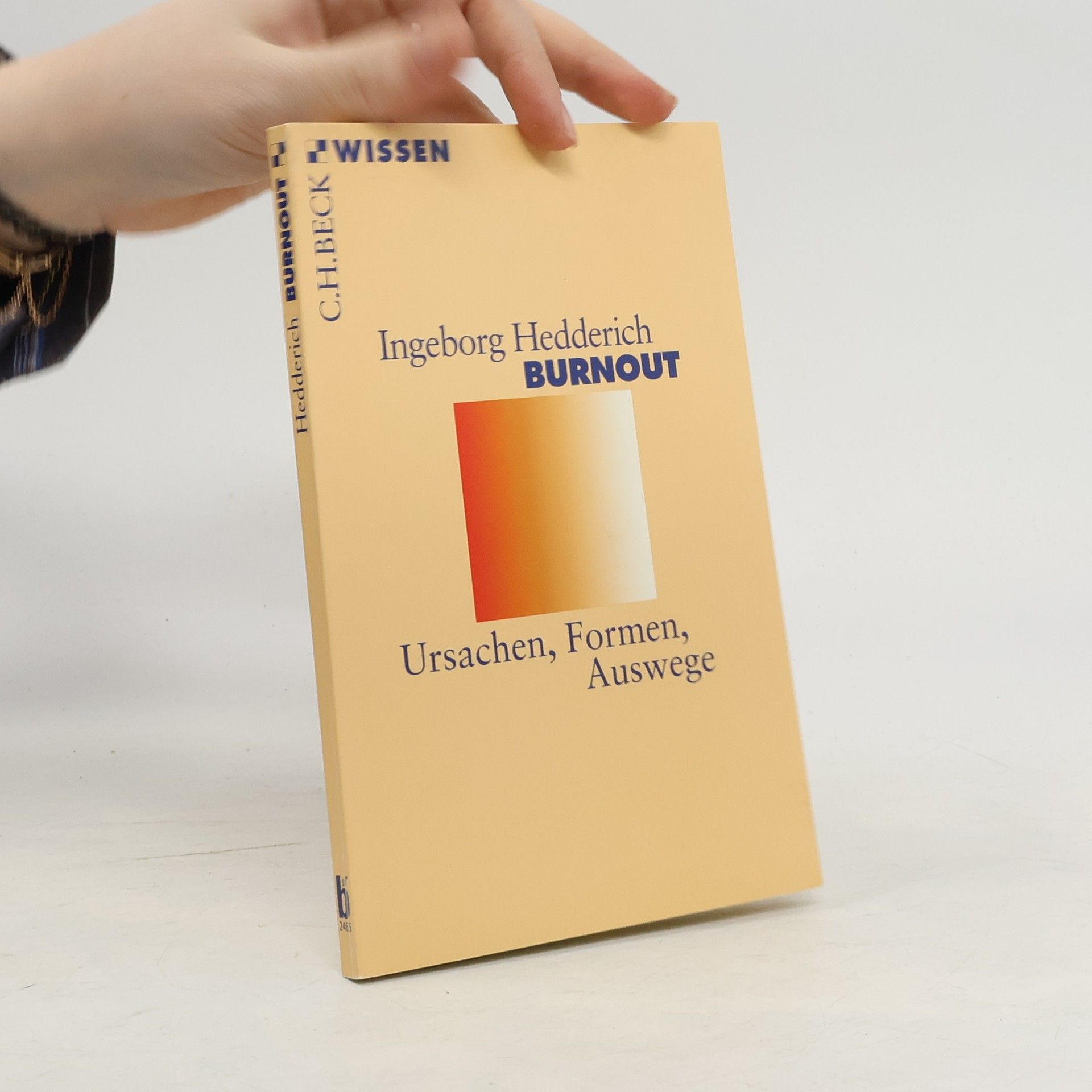 Ingeborg Hedderich Burnout