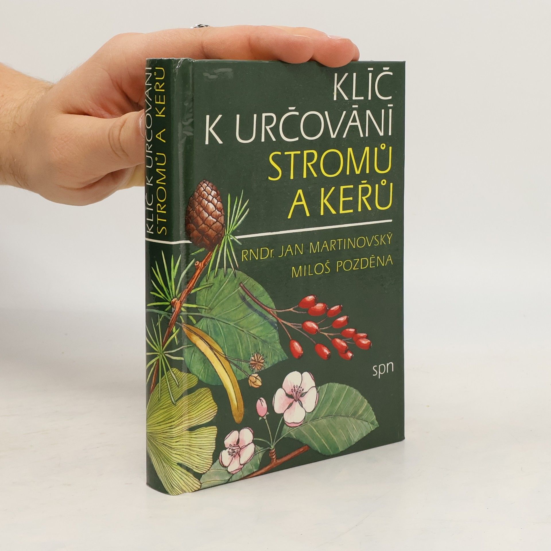 Klíč k určování stromů a keřů