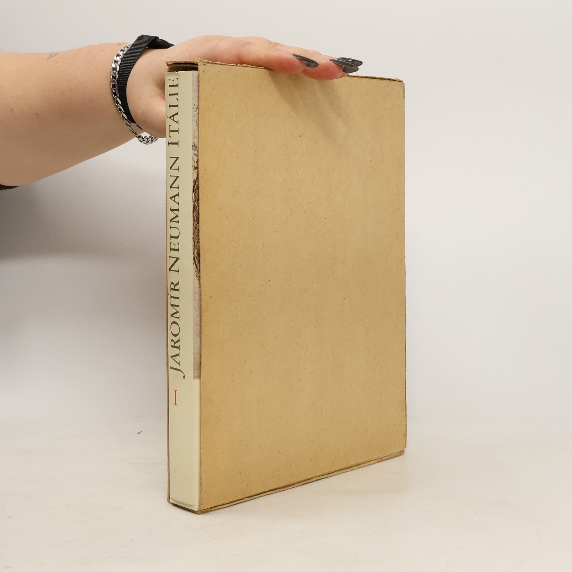 Jaromír Neumann Itálie. Z cesty za uměním I.