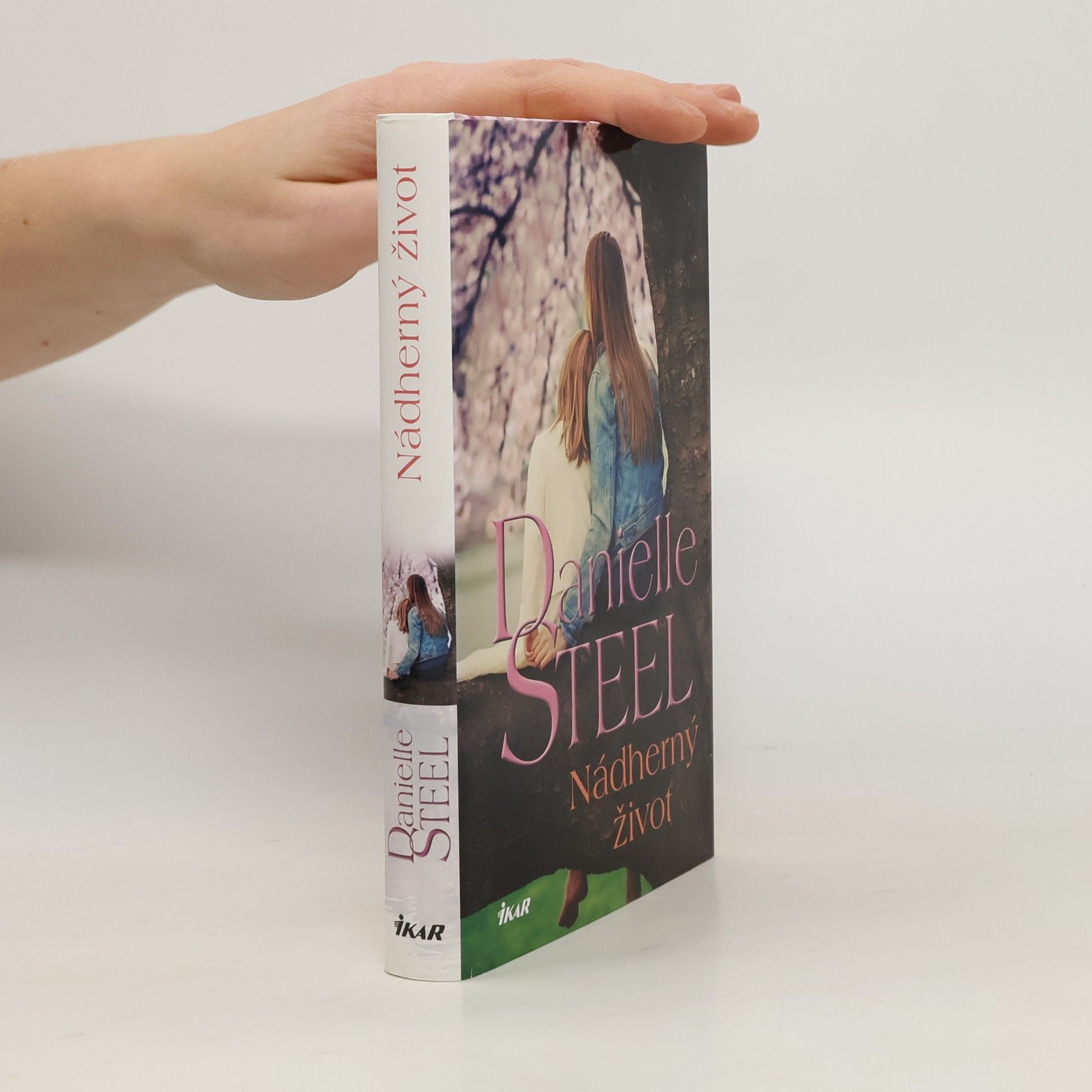 Danielle Steel Nádherný život