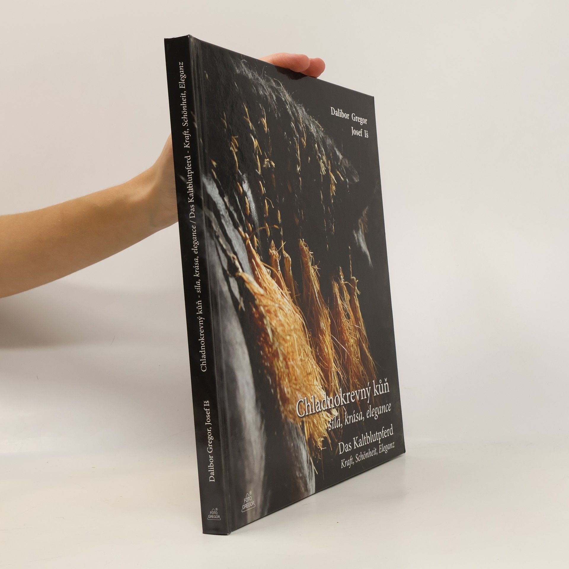 Dalibor Gregor Chladnokrevný kůň – síla, krása, elegance