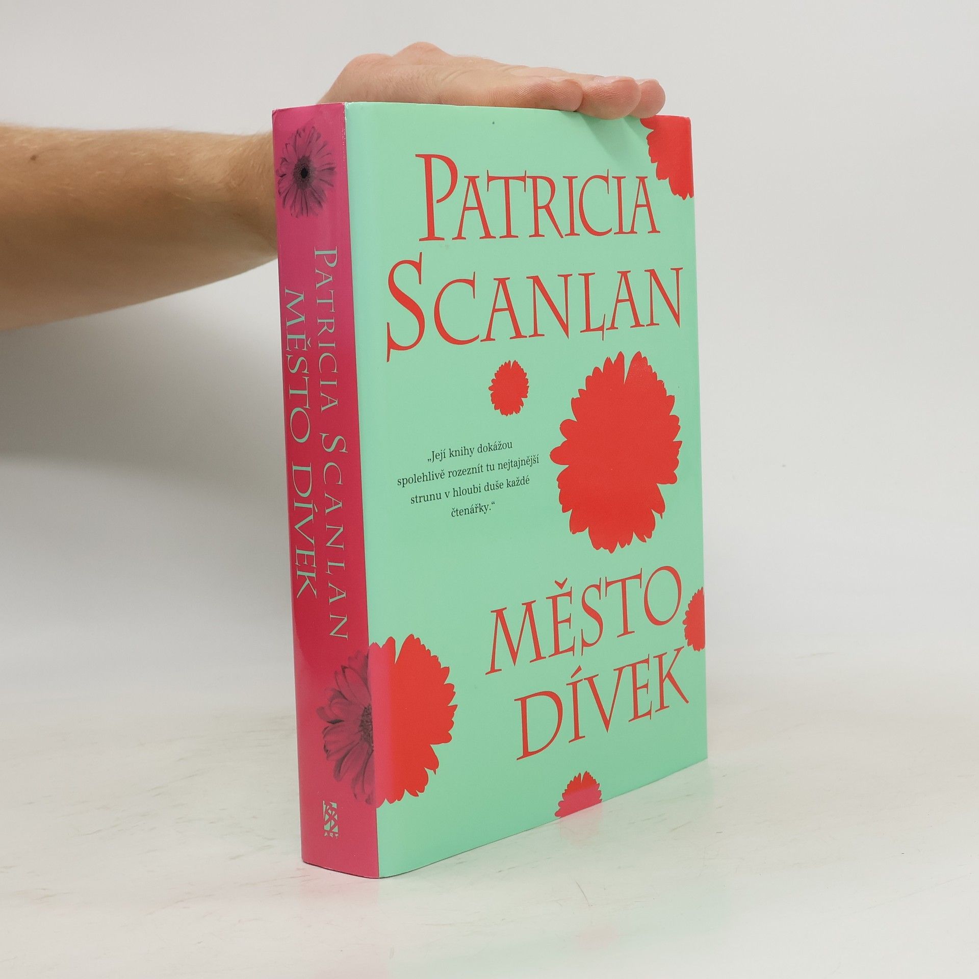 Patricia Scanlan Město dívek
