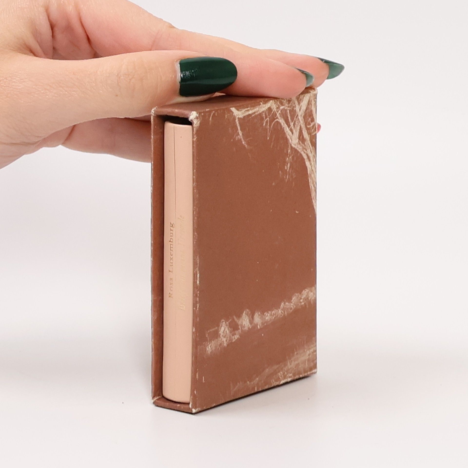 Rosa Luxemburg Briefe an meine Freunde