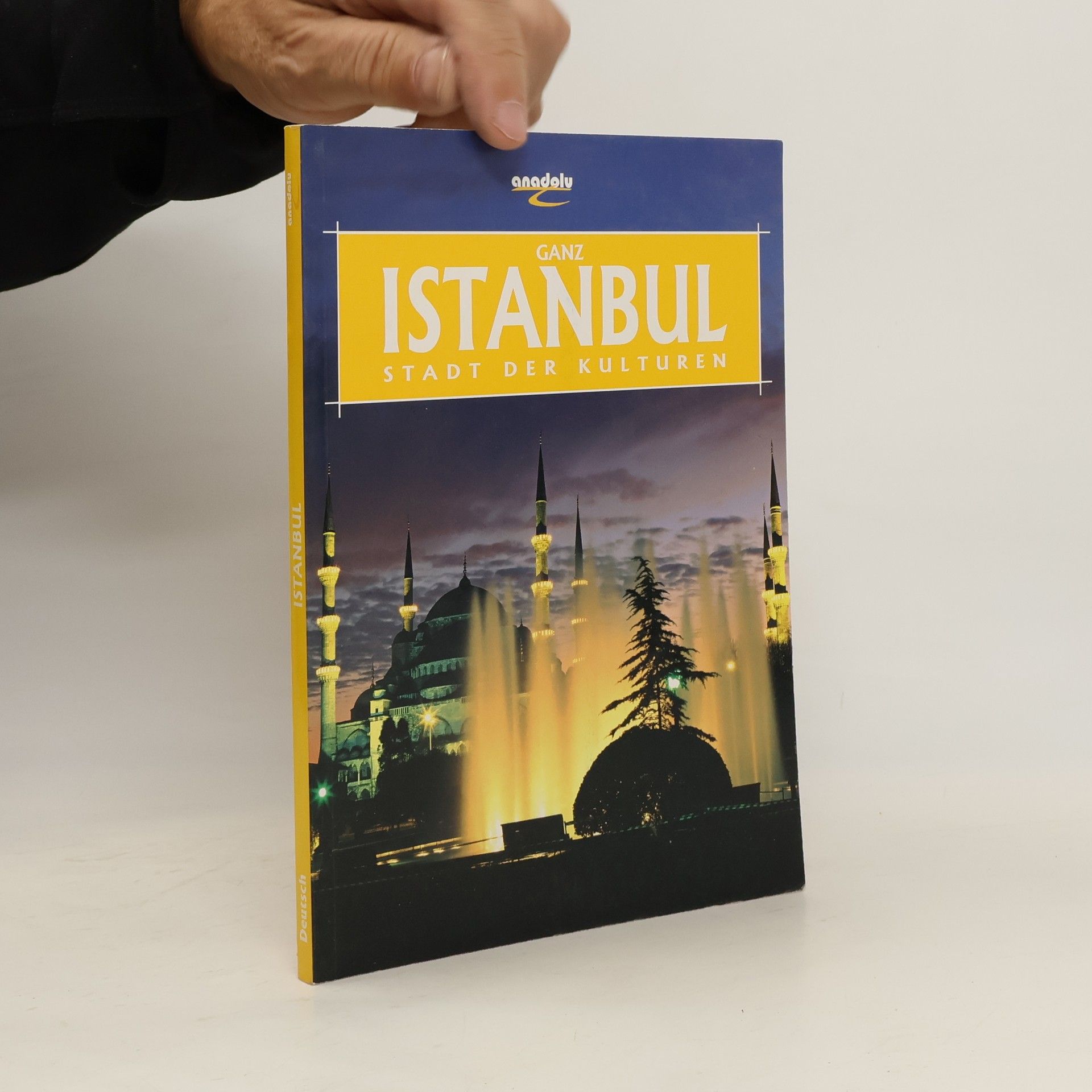 Collectif d'auteurs Istanbul Stadt der Kulturen