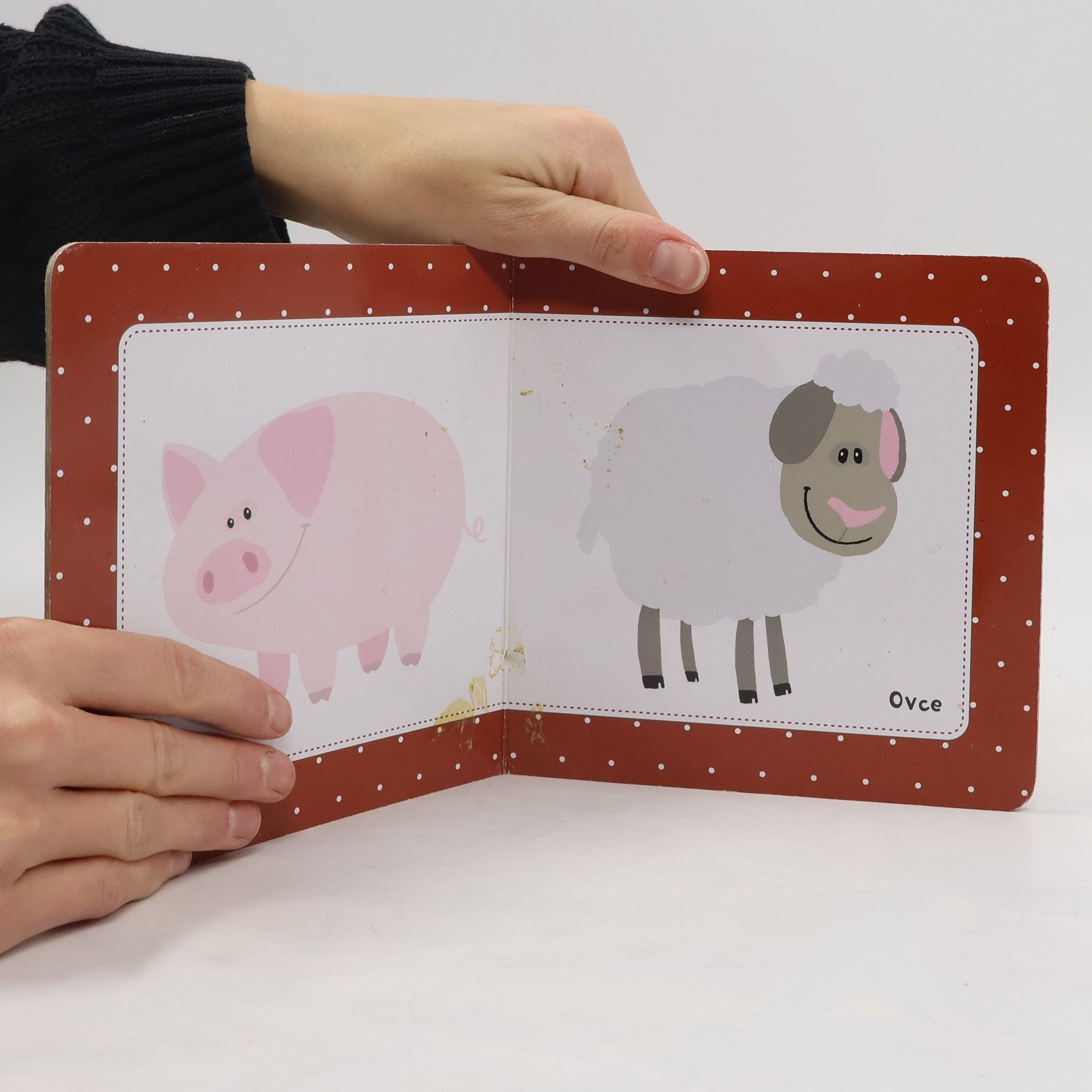 Zvířátka : Moje první knížka