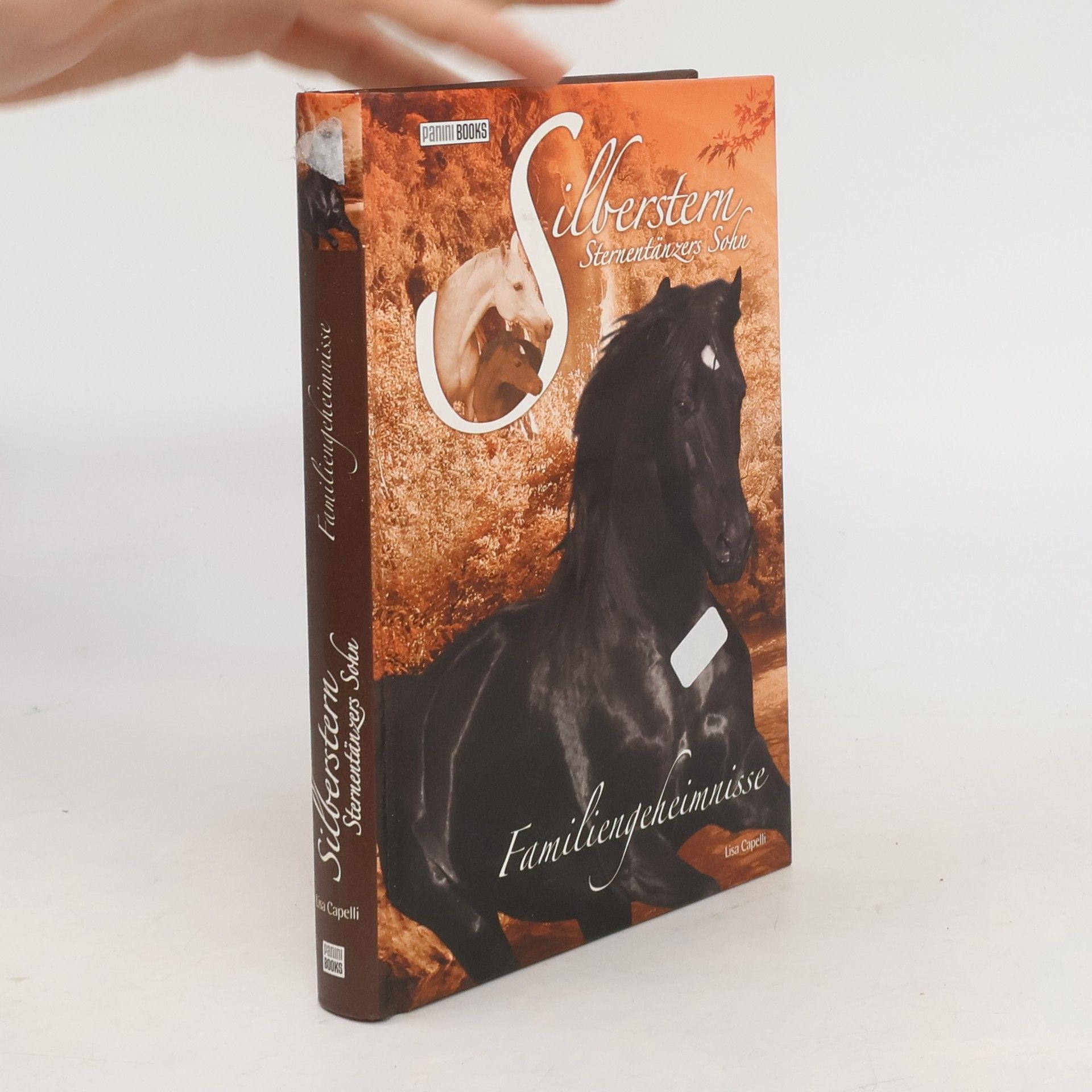Lisa Capelli Silberstern, Sternentänzers Sohn. Familiengeheimnisse