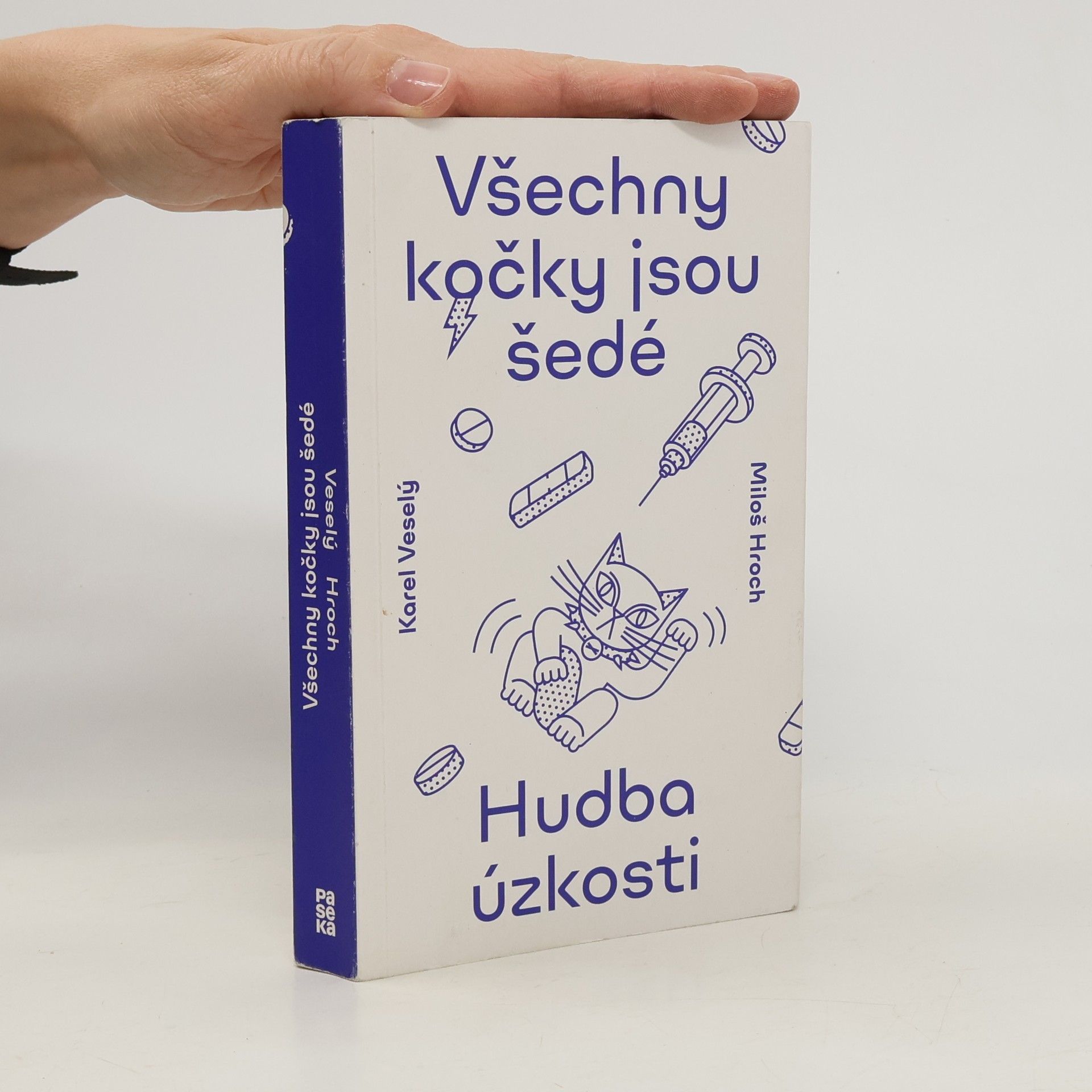 Karel Veselý Všechny kočky jsou šedé