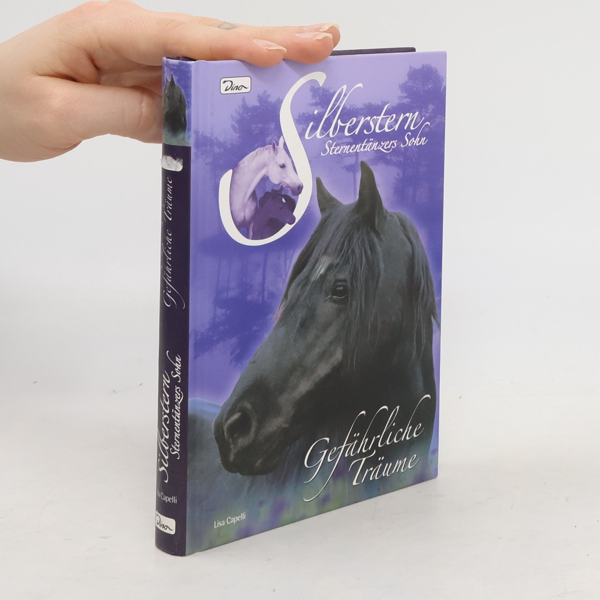 Lisa Capelli Silberstern, Sternentänzers Sohn. Gefährliche Träume