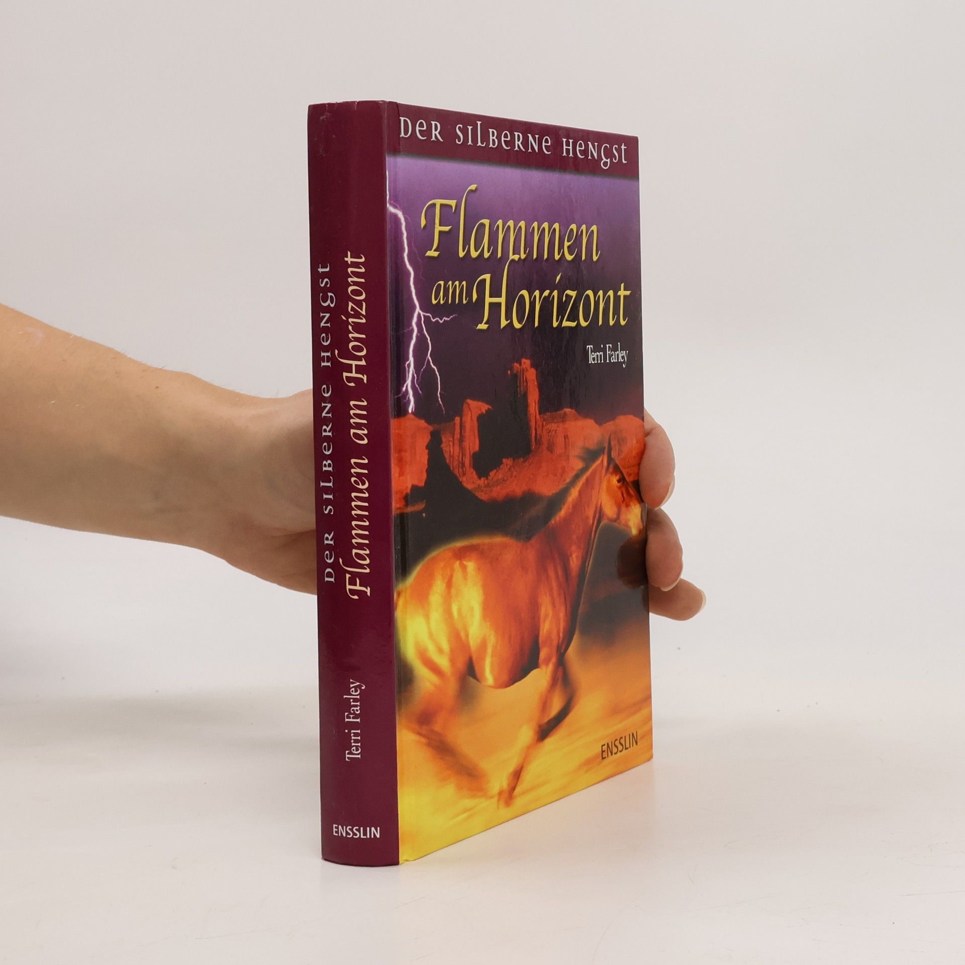 Terri Farley Flammen am Horizont