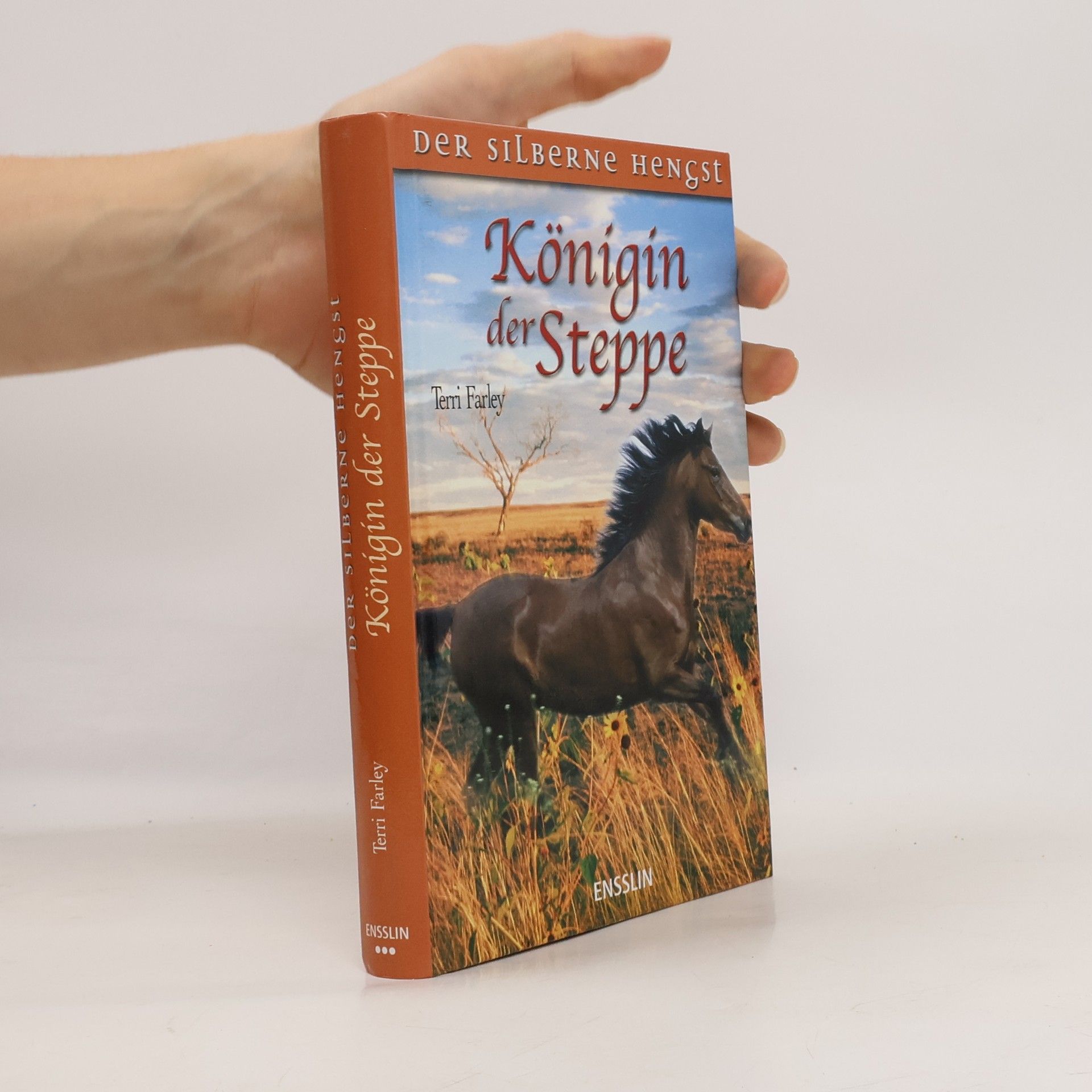 Terri Farley Der silberne Hengst. Königin der Steppe