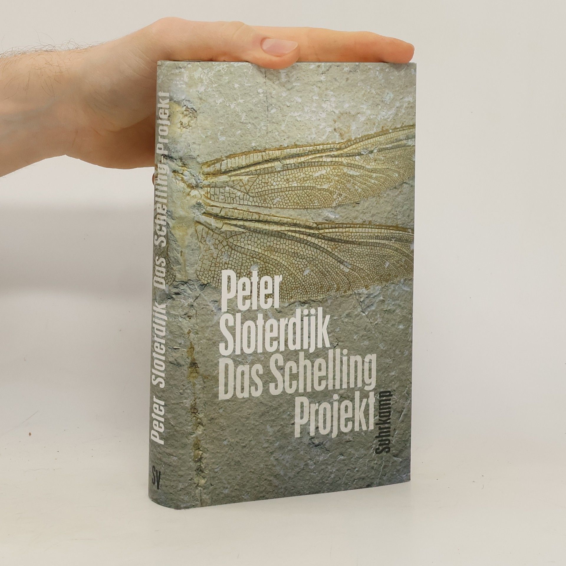 Peter Sloterdijk Das Schelling-Projekt