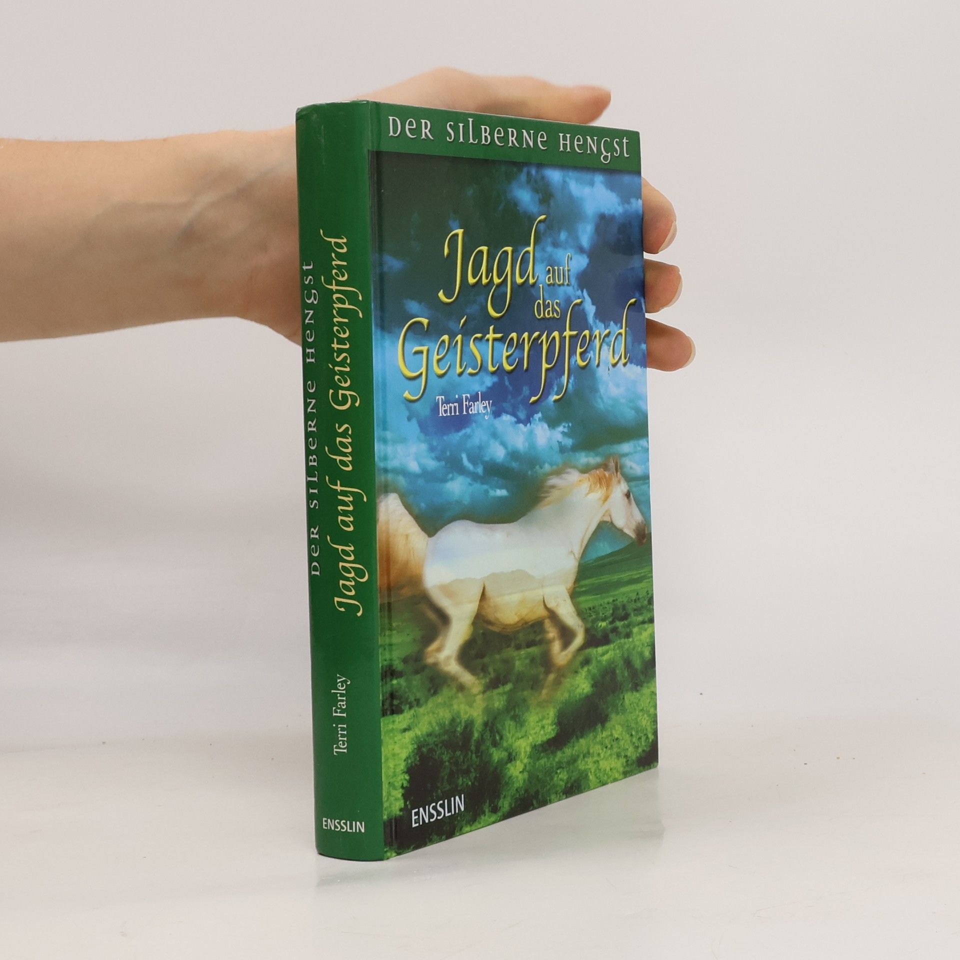 Terri Farley Jagd auf das Geisterpferd