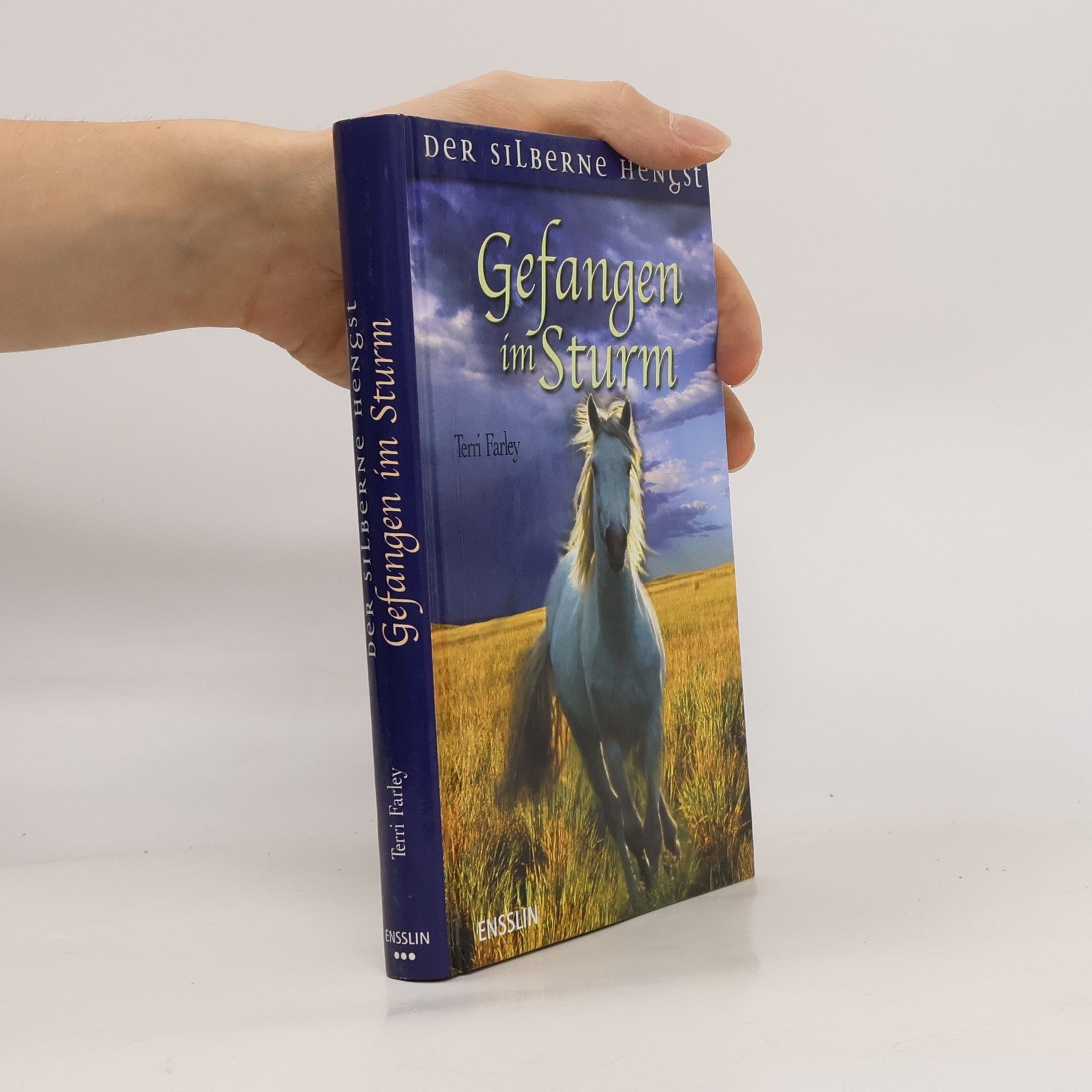 Terri Farley Gefangen im Sturm