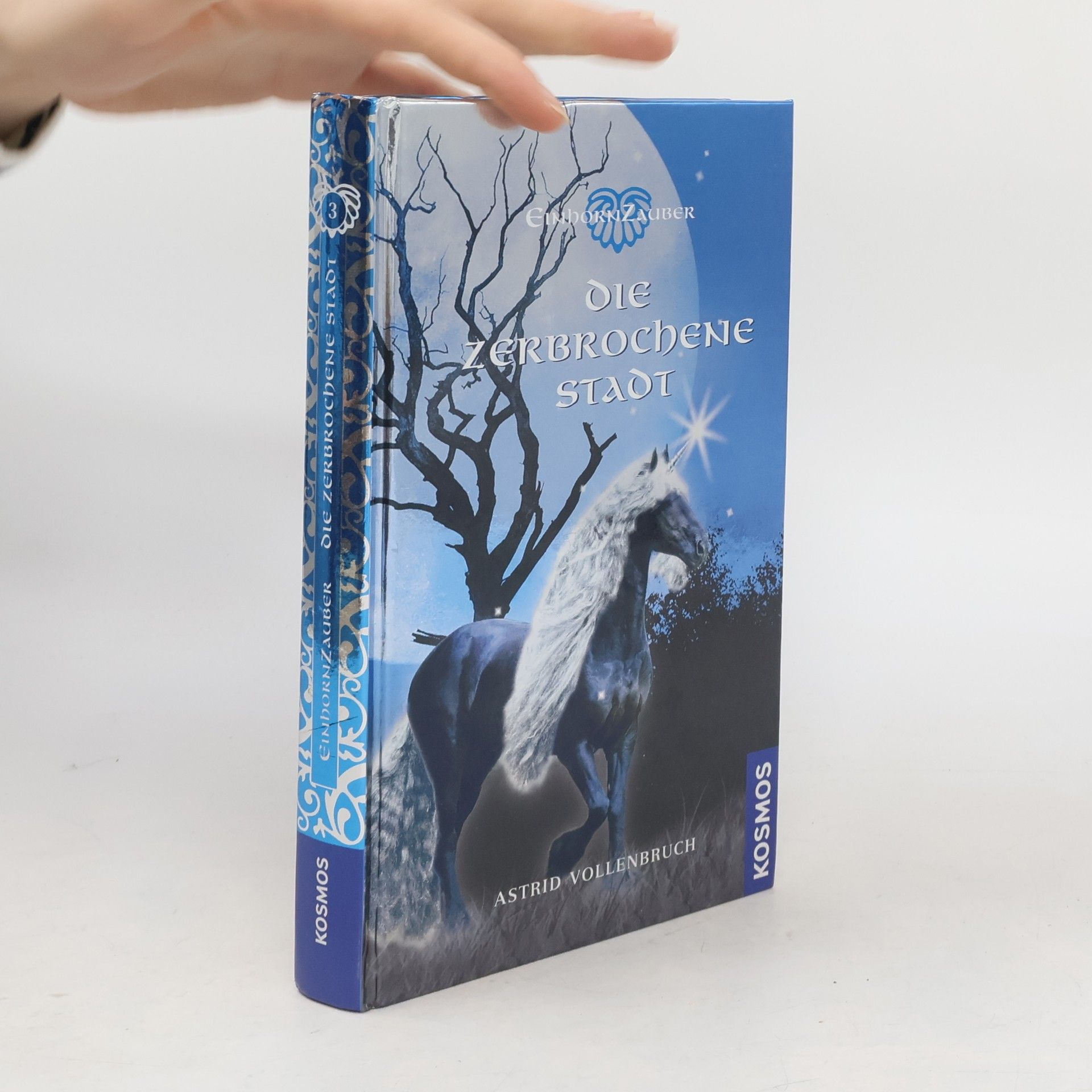 Astrid Vollenbruch Einhornzauber - Die zerbrochene Stadt