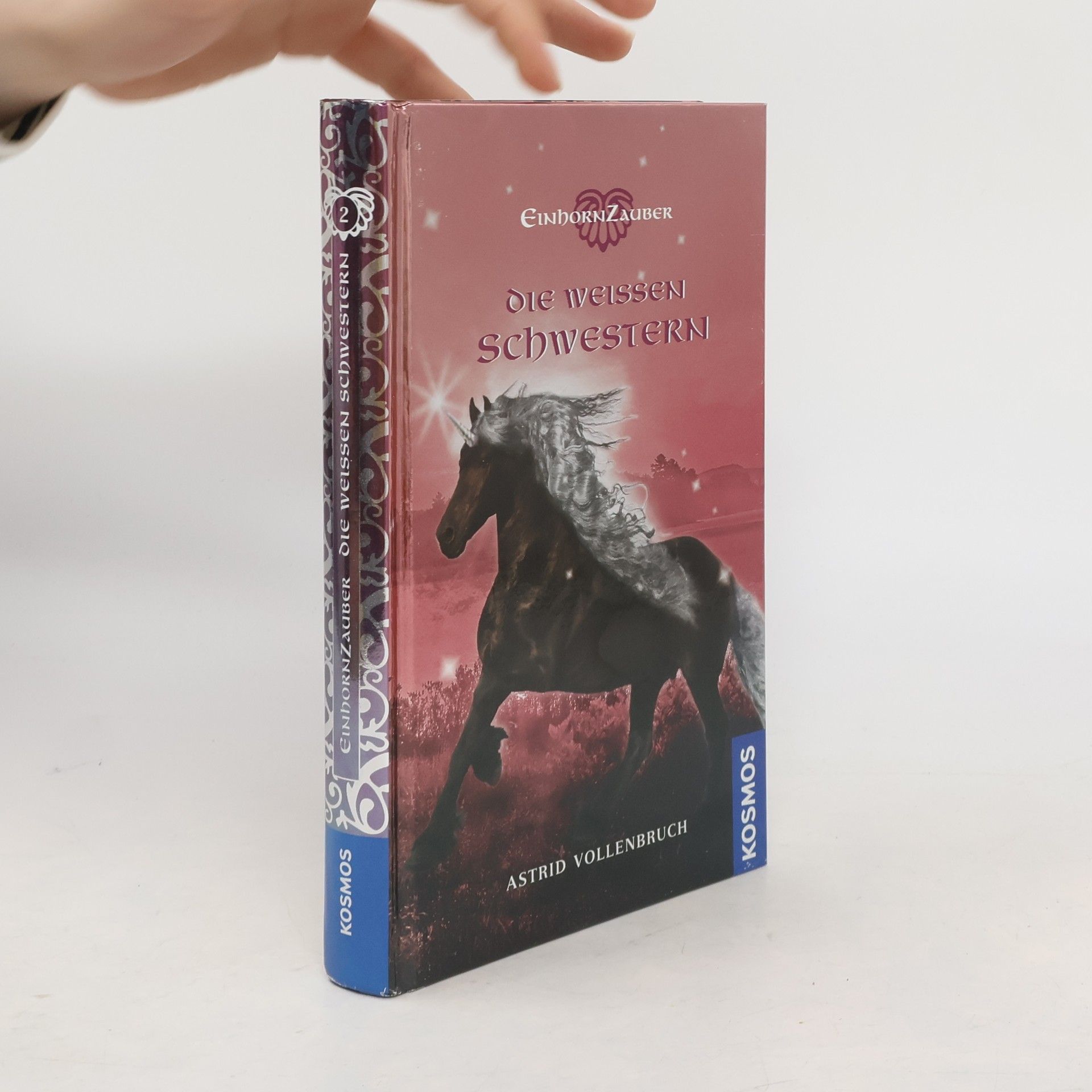 Astrid Vollenbruch Die weißen Schwestern