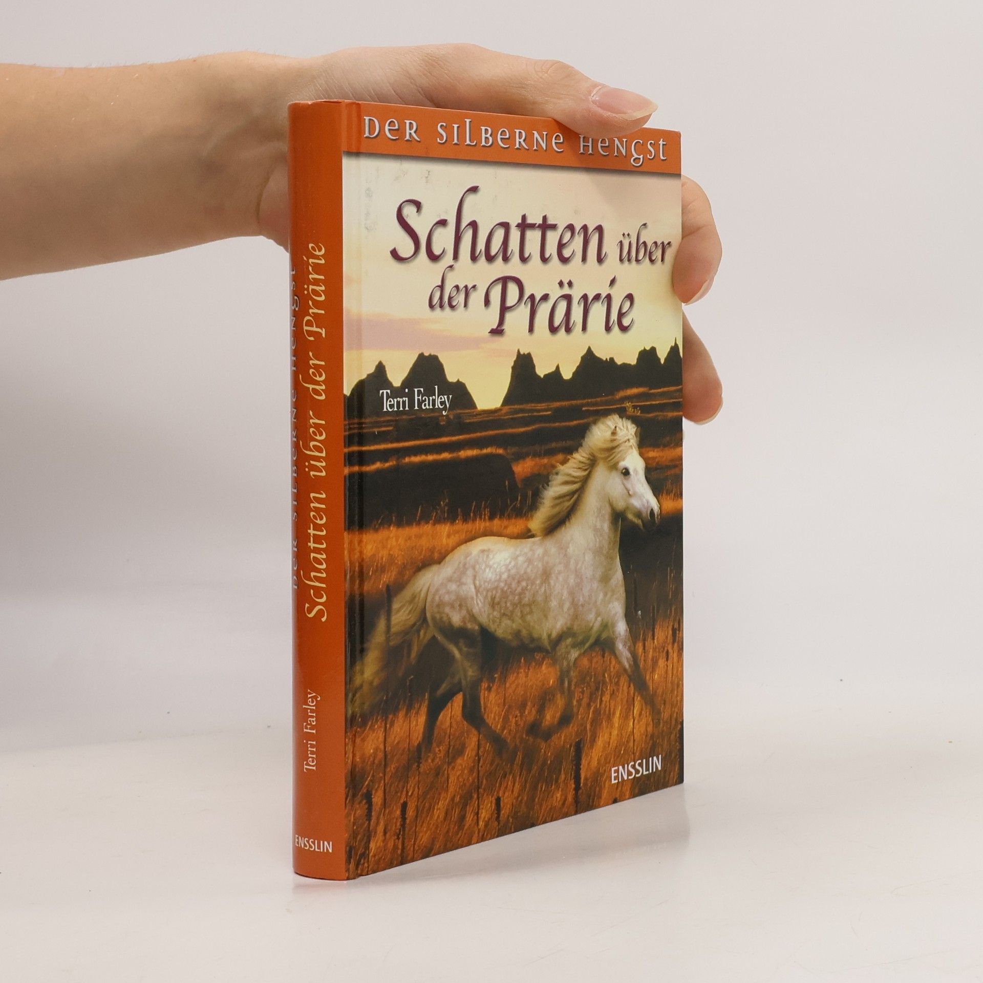 Terri Farley Der silberne Hengst. Schatten über der Prärie