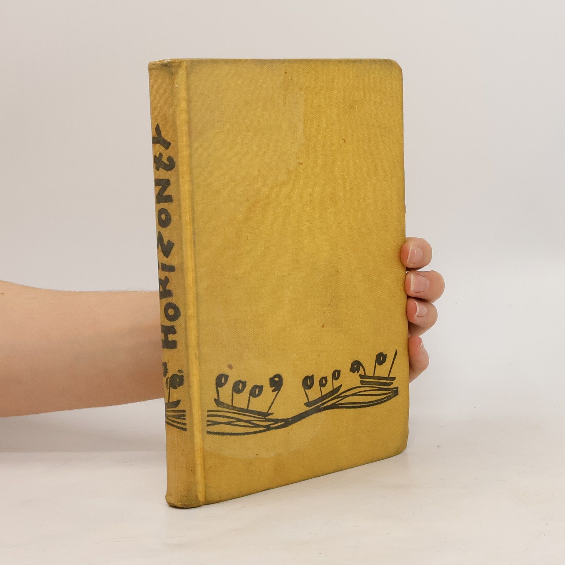 Auteurscollectief Horizonty