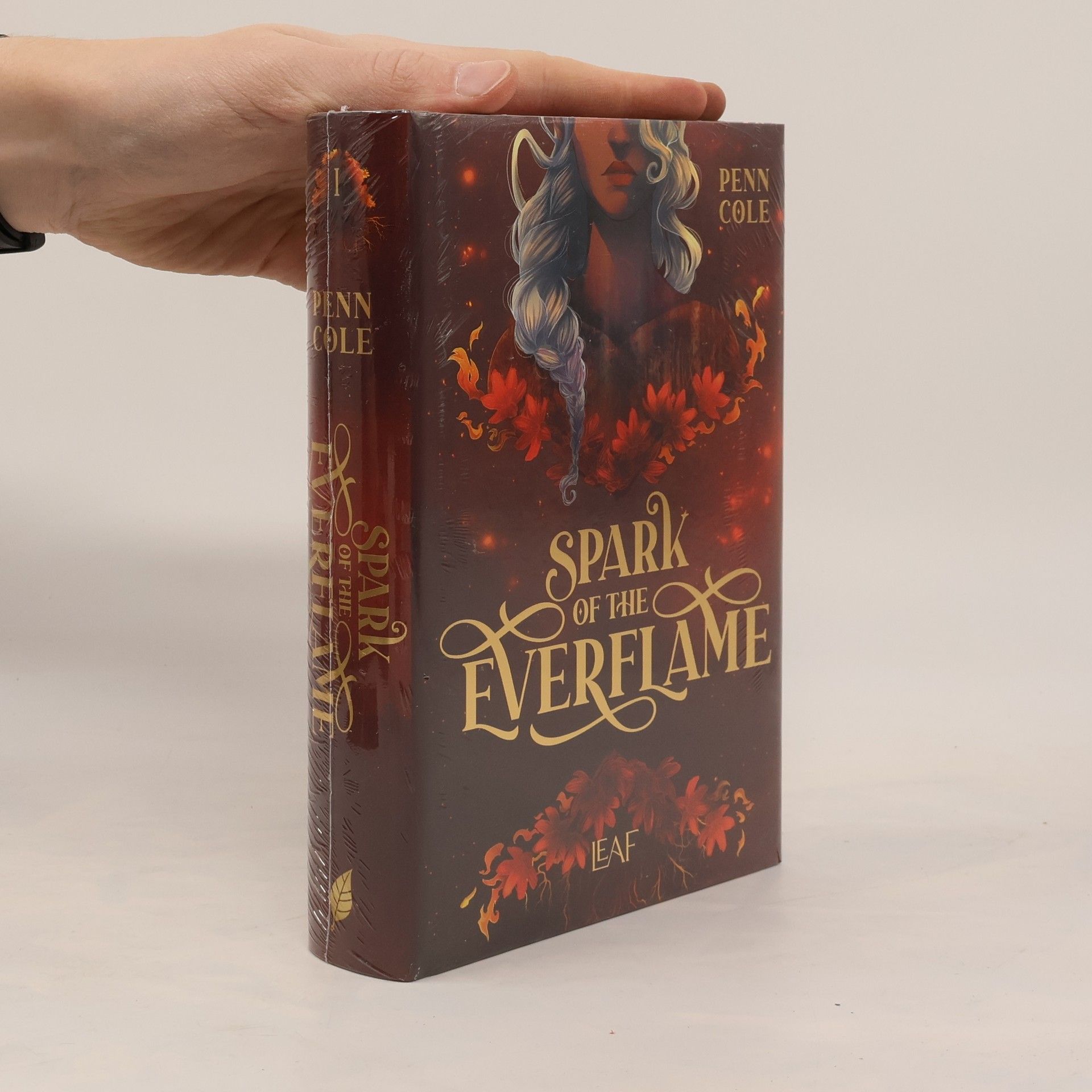 Penn Cole Spark of the Everflame / Kindred´s Curse Saga Bd.1