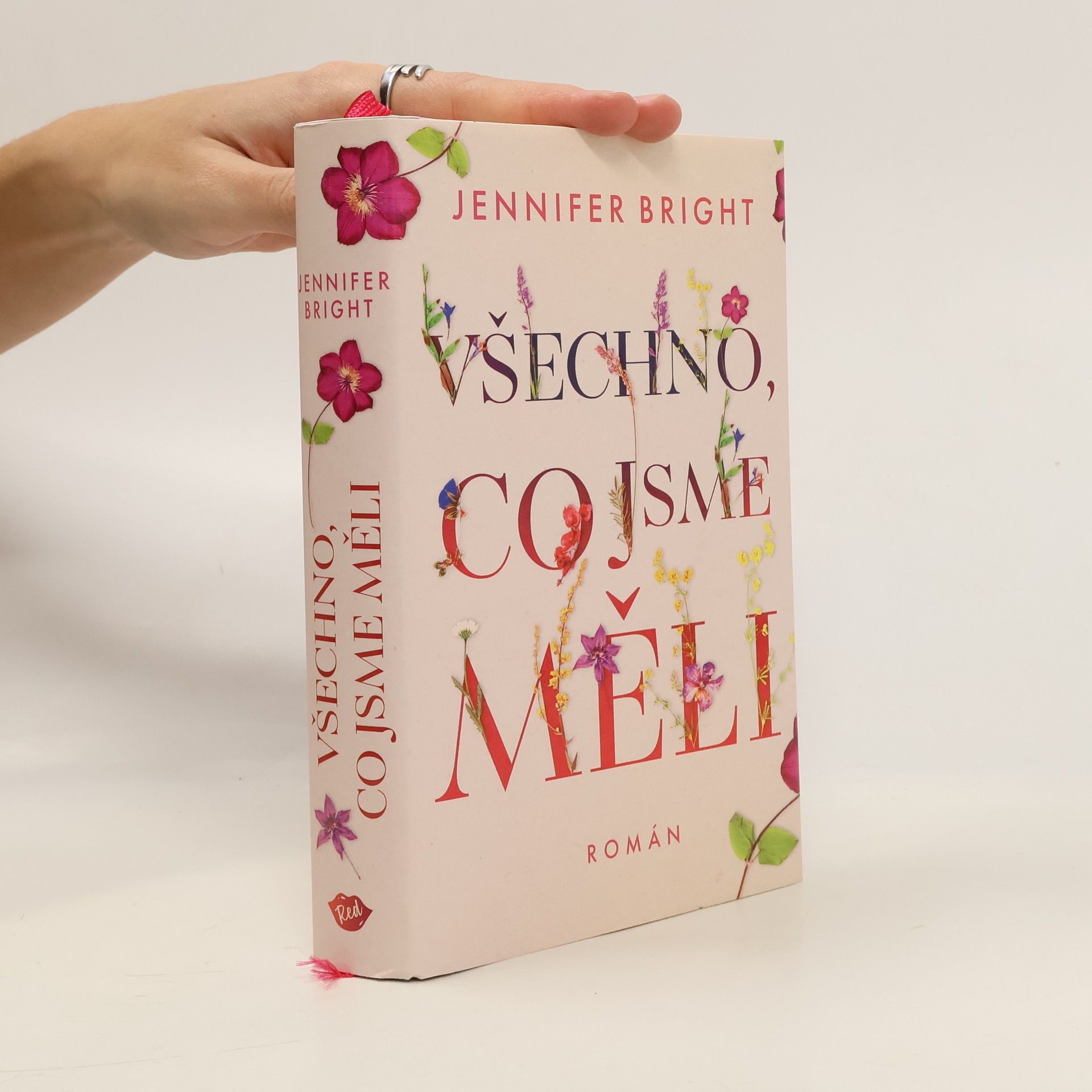 Všechno, co jsme měli