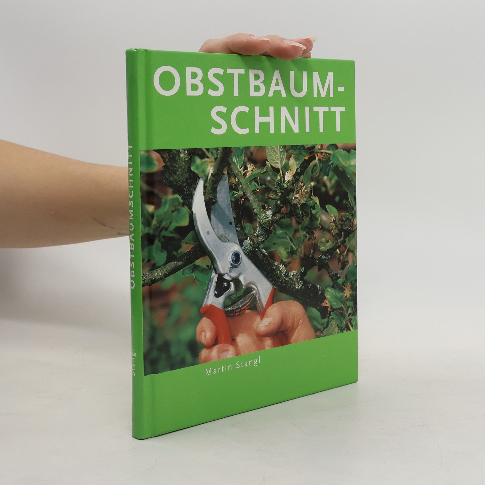 Martin Stangl Obstbaumschnitt