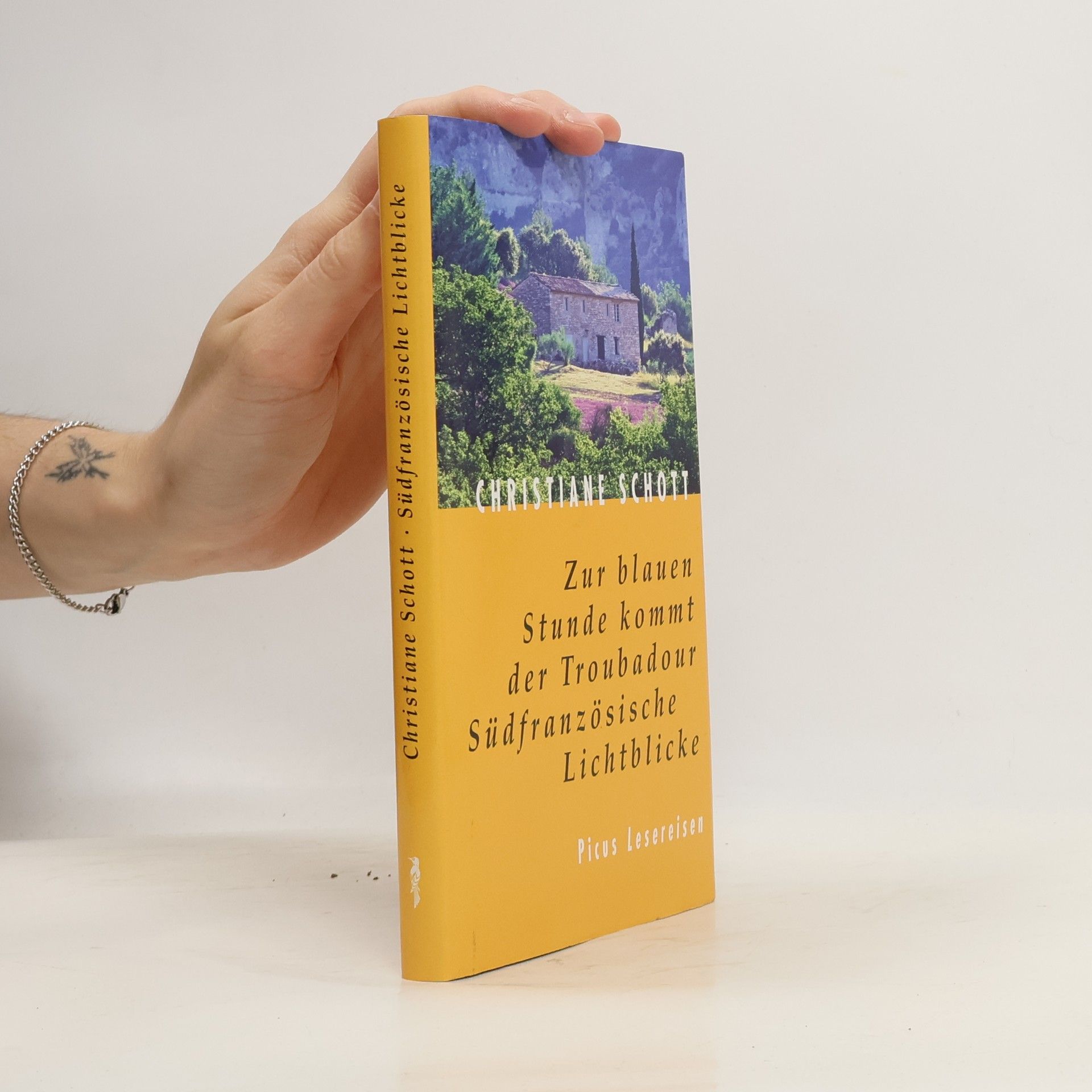 Christiane Schott Zur blauen Stunde kommt der Troubadour