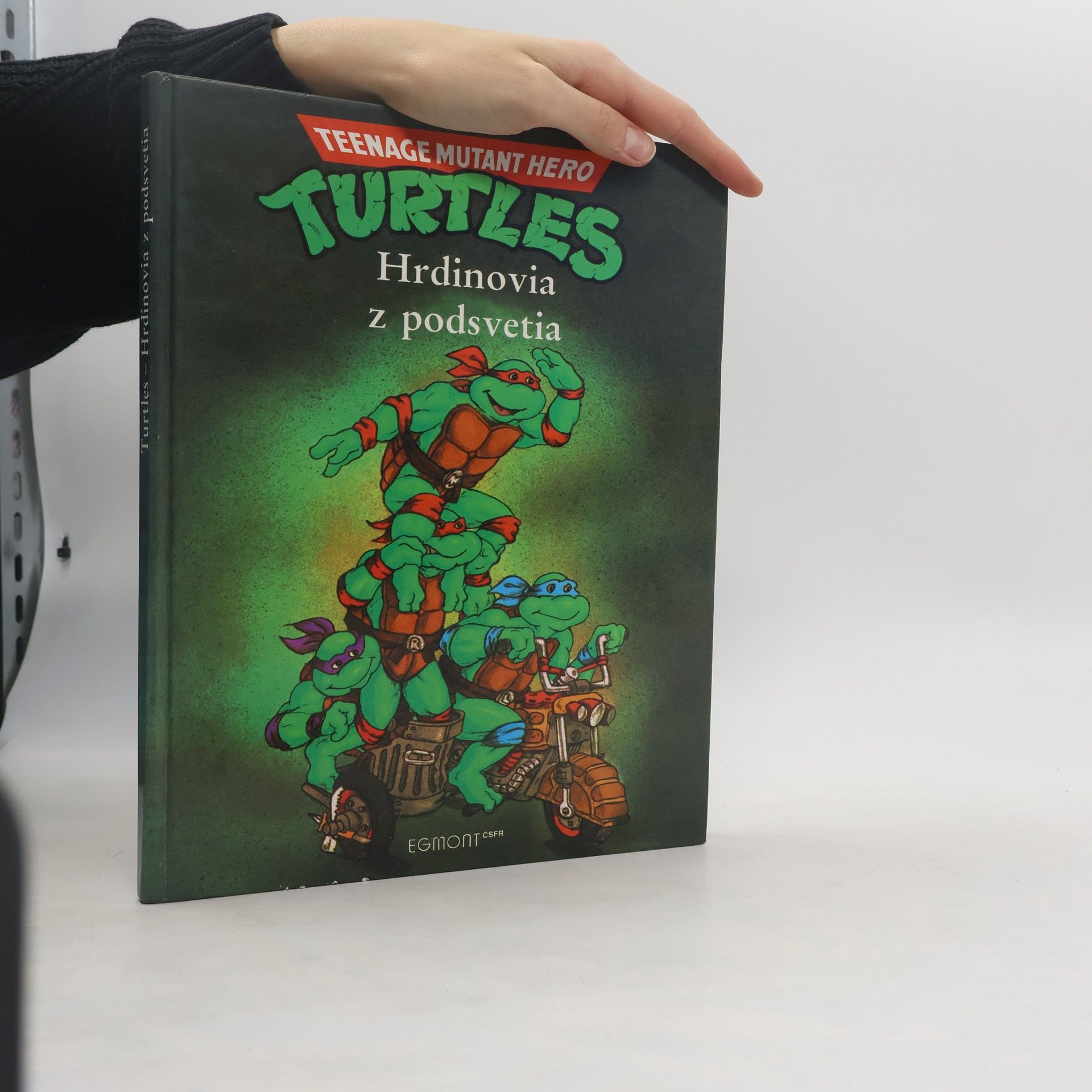 Maureen Spurgeon Turtles - Hrdinovia z podsvetia