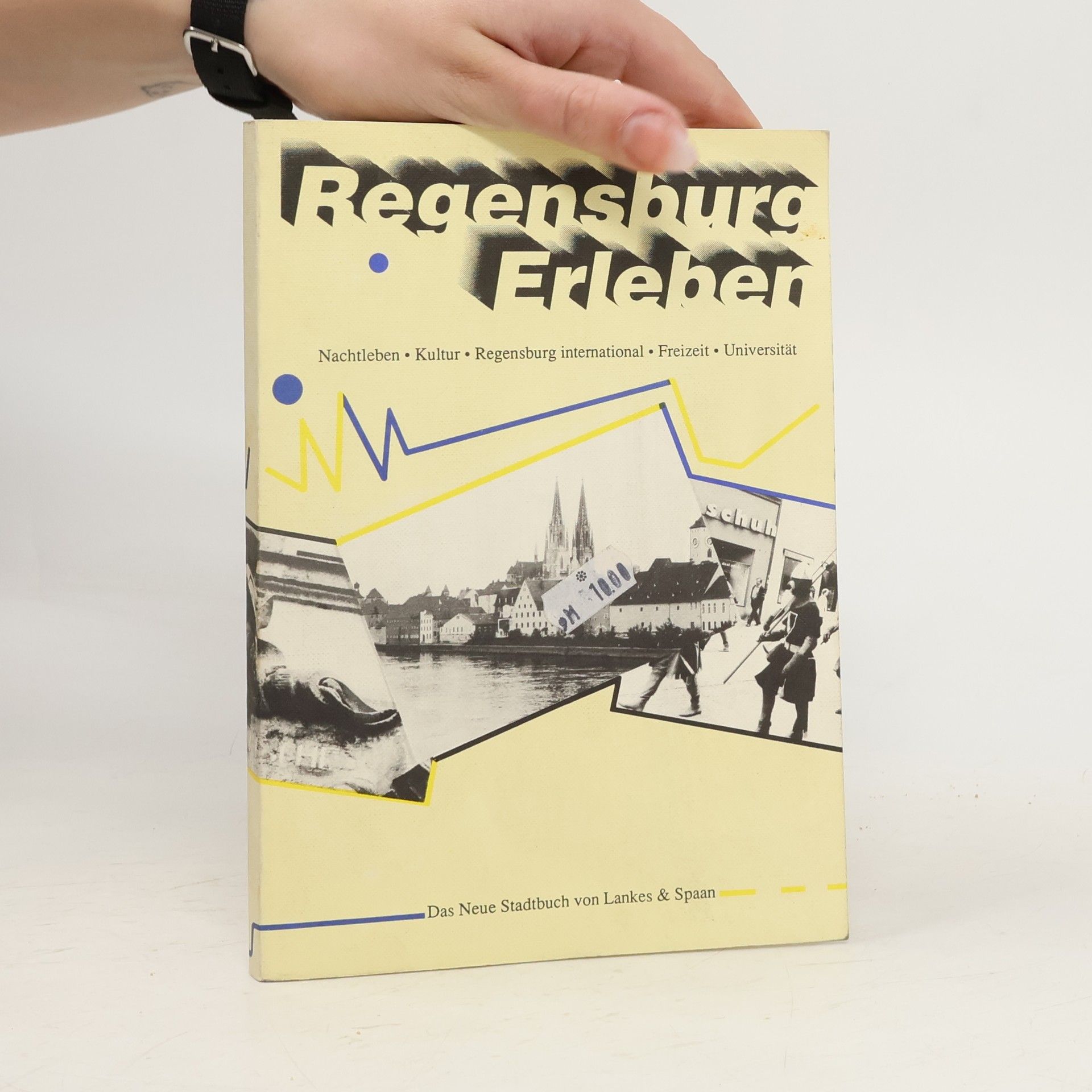 AA.VV. Regensburch Erleben