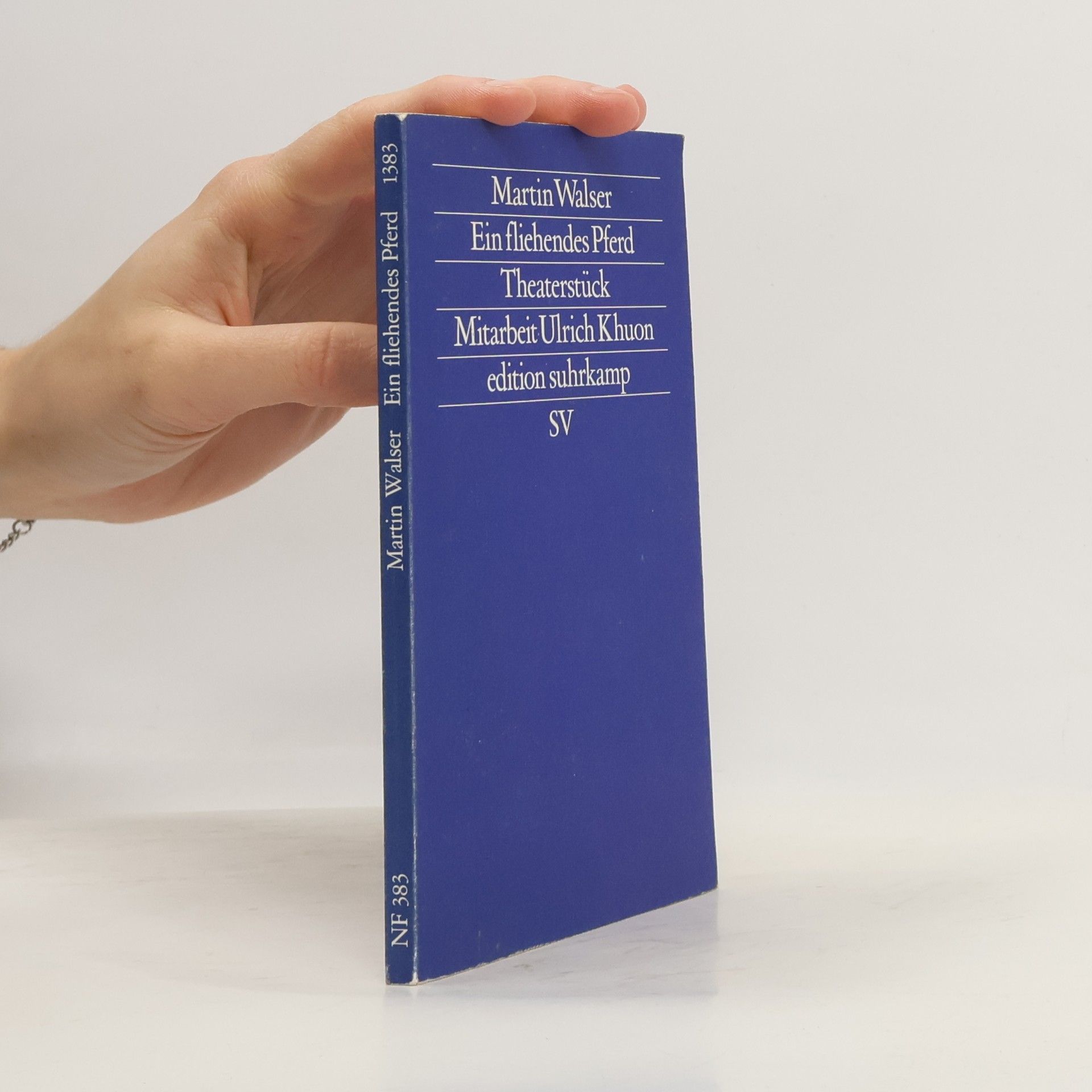 Martin Walser Ein fliehendes Pferd