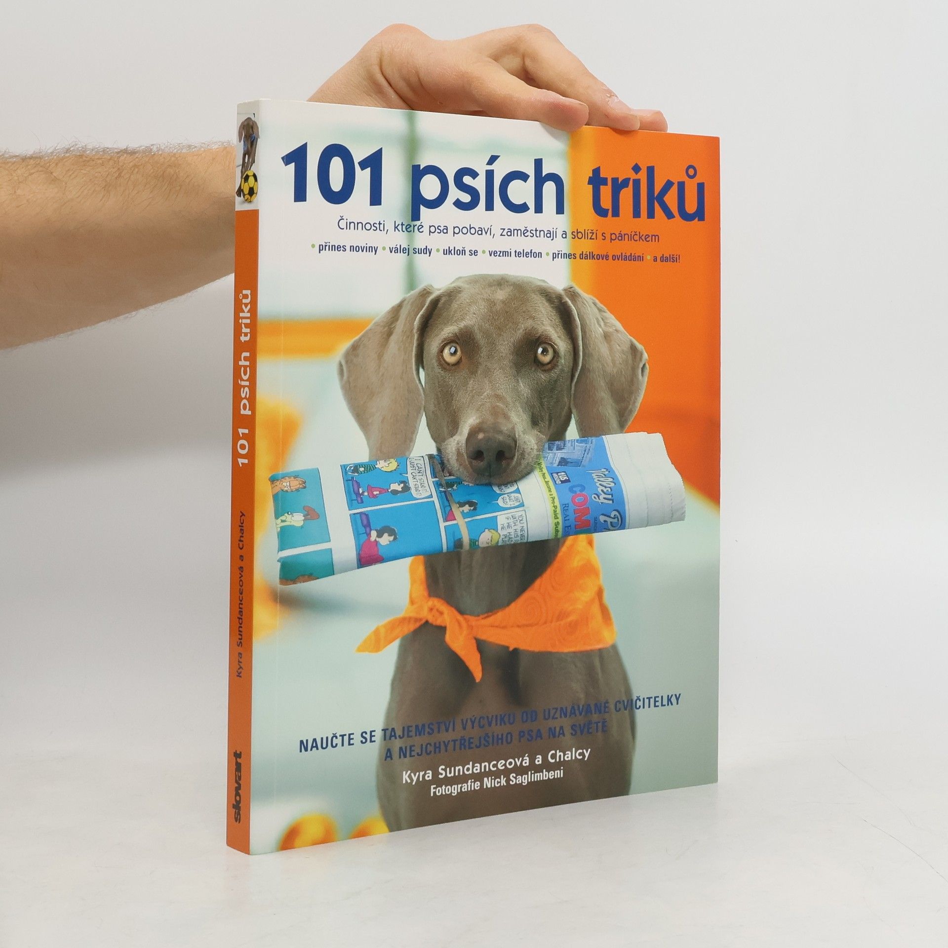 Kyra Sundance 101 psích triků : činnosti, které psa pobaví, zaměstnají a sblíží s páníčkem - krok za krokem