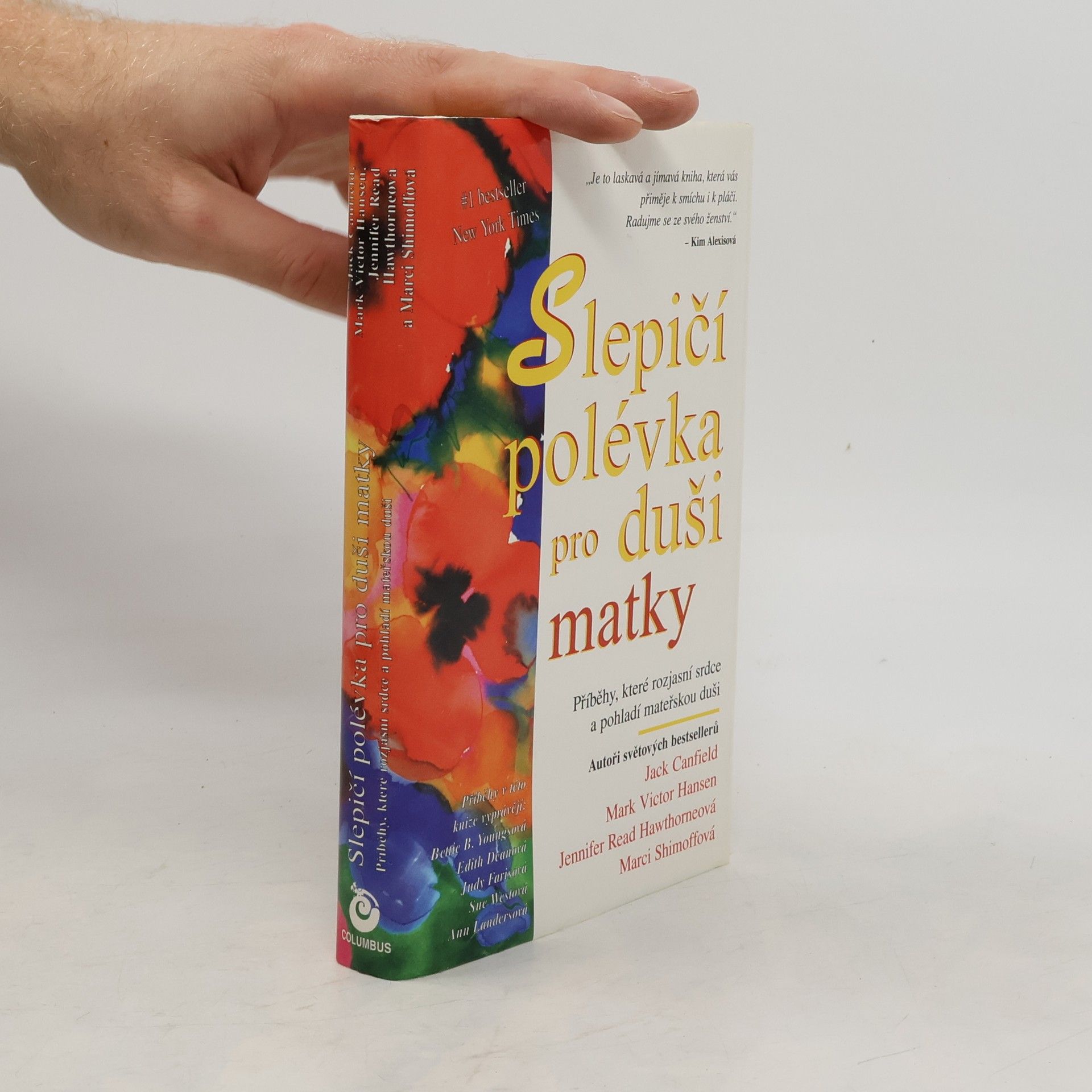 Slepičí polévka pro duši matky