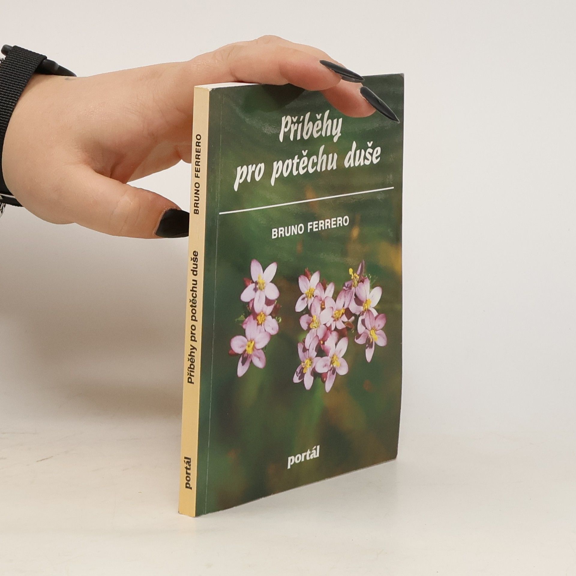 Bruno Ferrero Příběhy pro potěchu duše