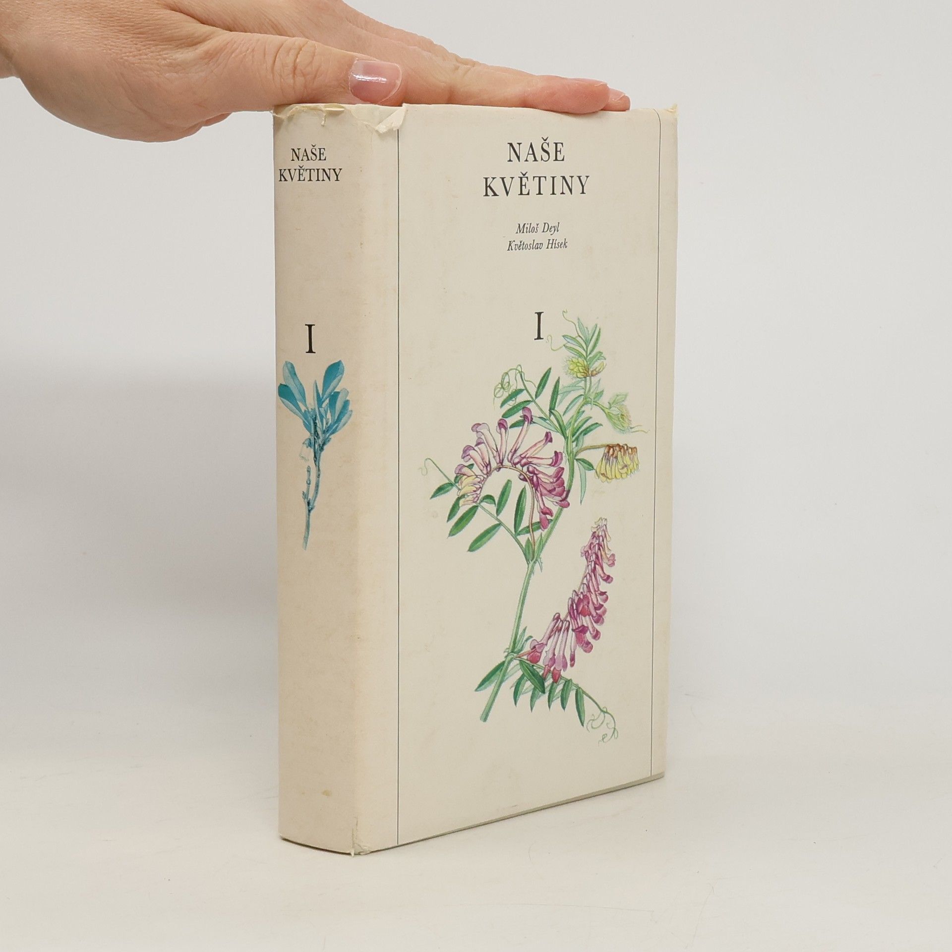 Květoslav Hísek Naše květiny I