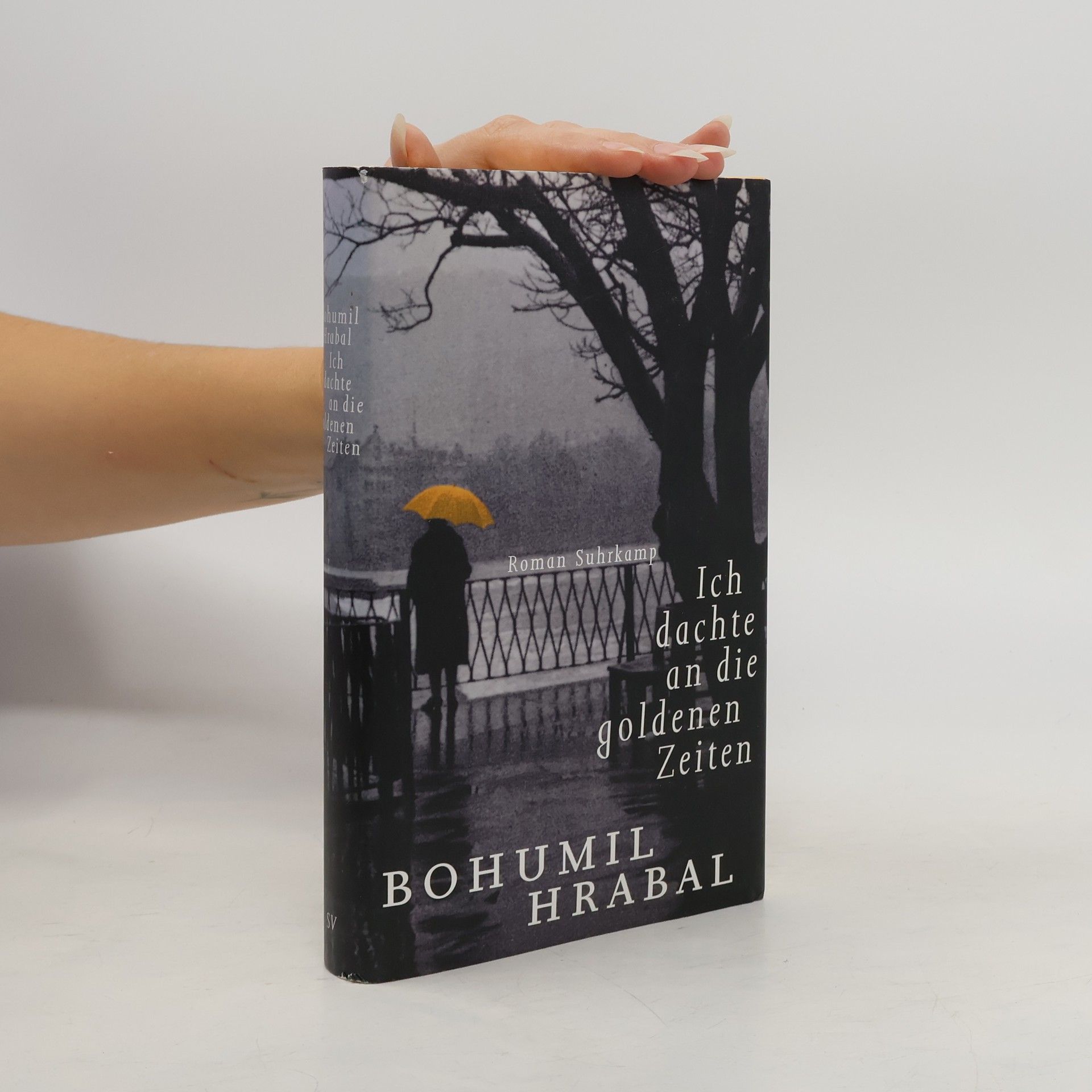 Bohumil Hrabal Ich dachte an die goldenen Zeiten