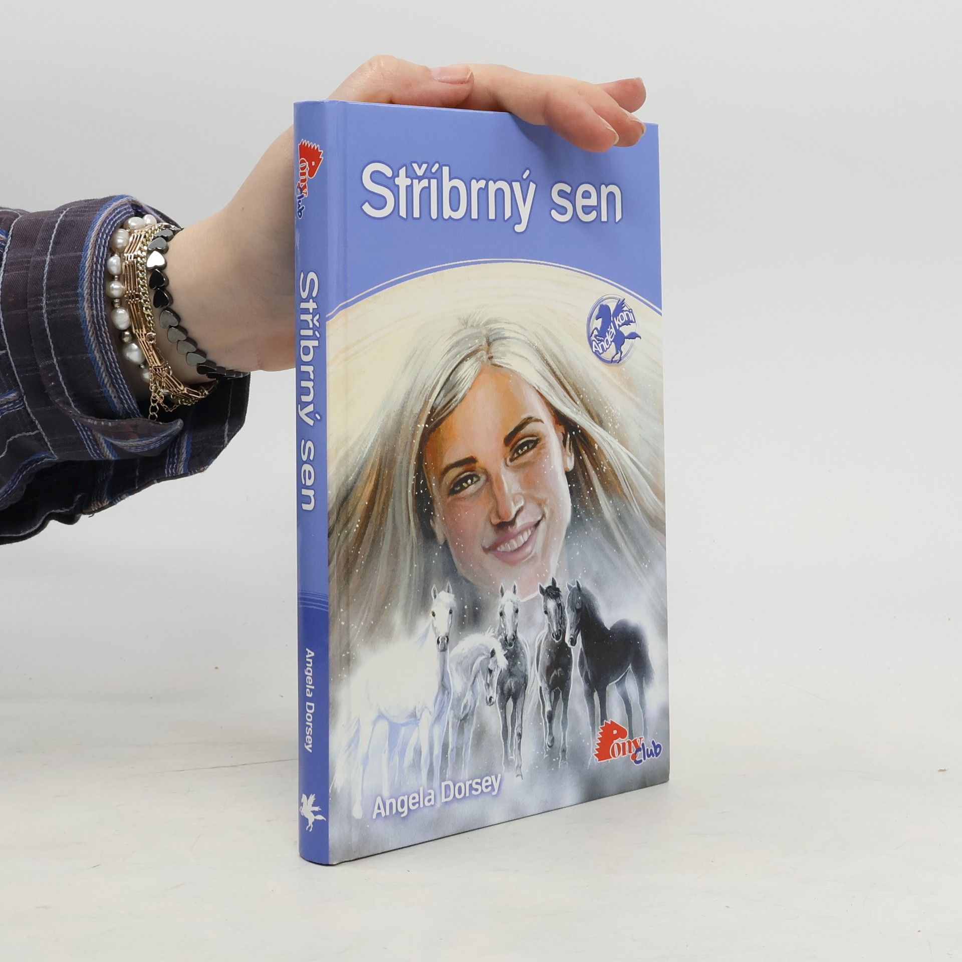 Angela Dorsey Stříbrný sen