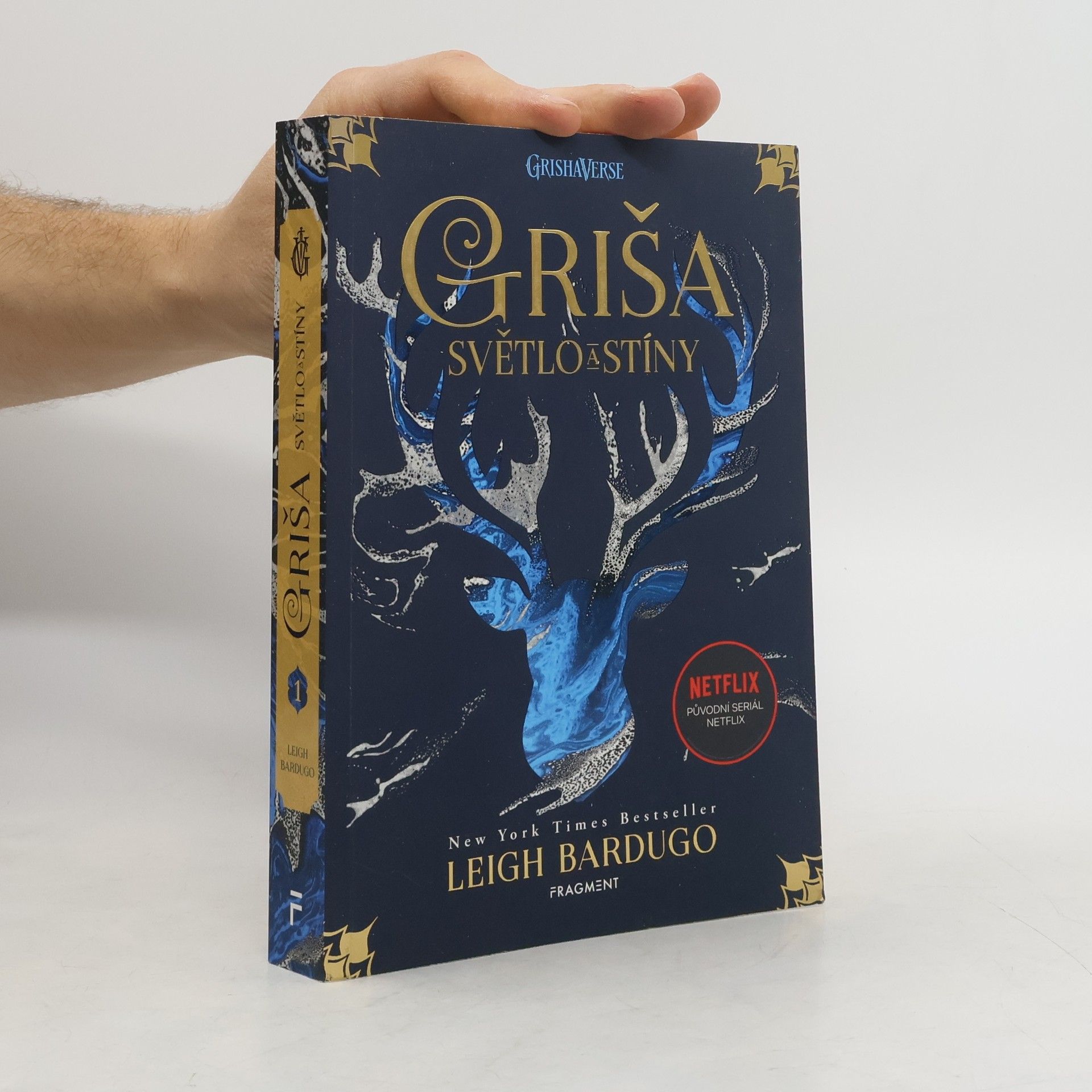 Leigh Bardugo Světlo a stíny