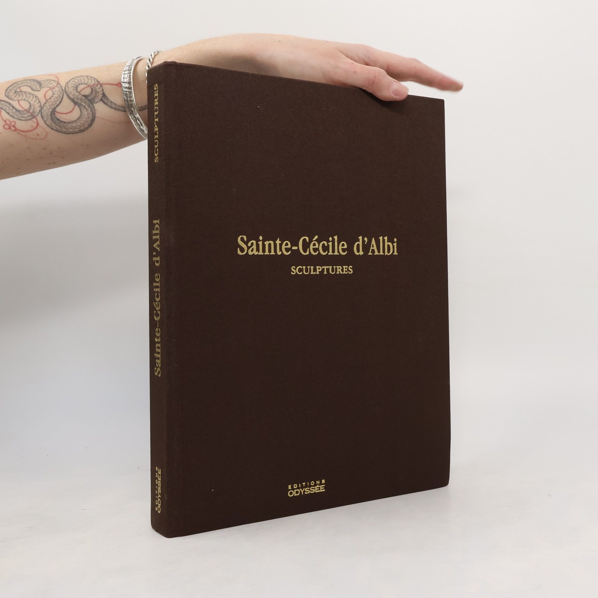 Jean-Louis Biget Sainte-Cécile d'Albi