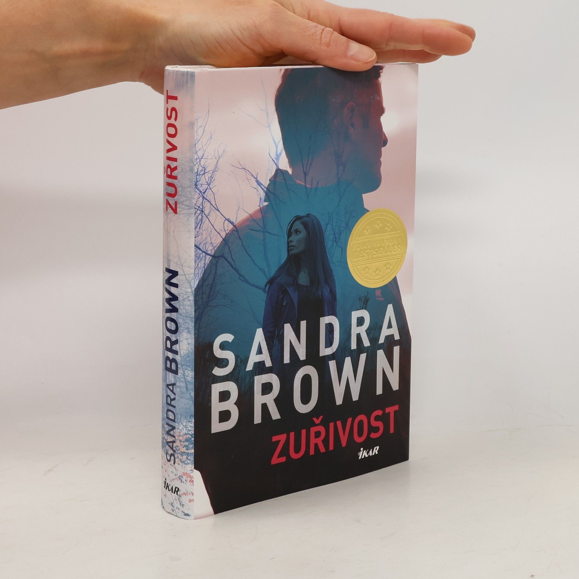 Sandra Brown Zuřivost