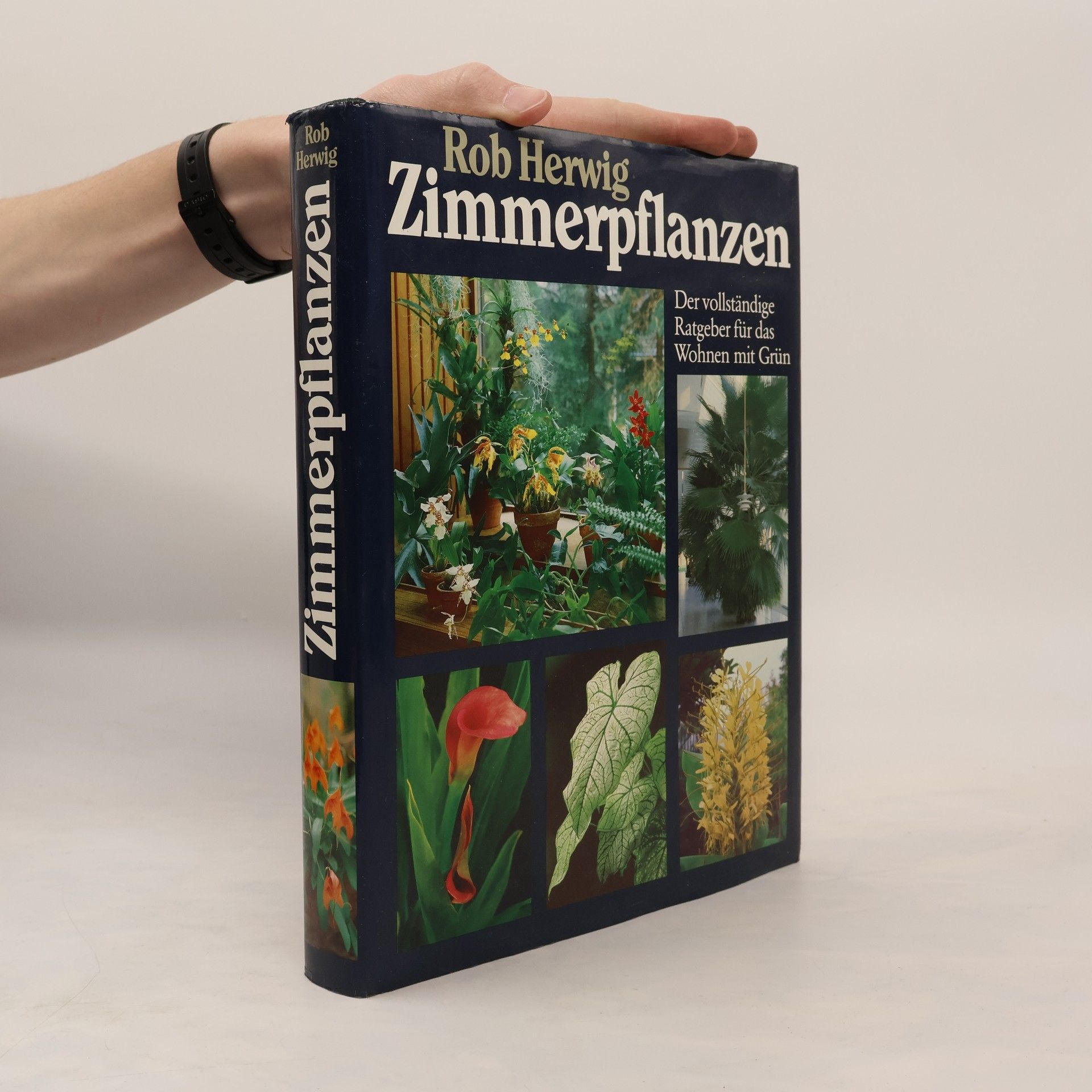 Rob Hewig Zimmerpflanzen