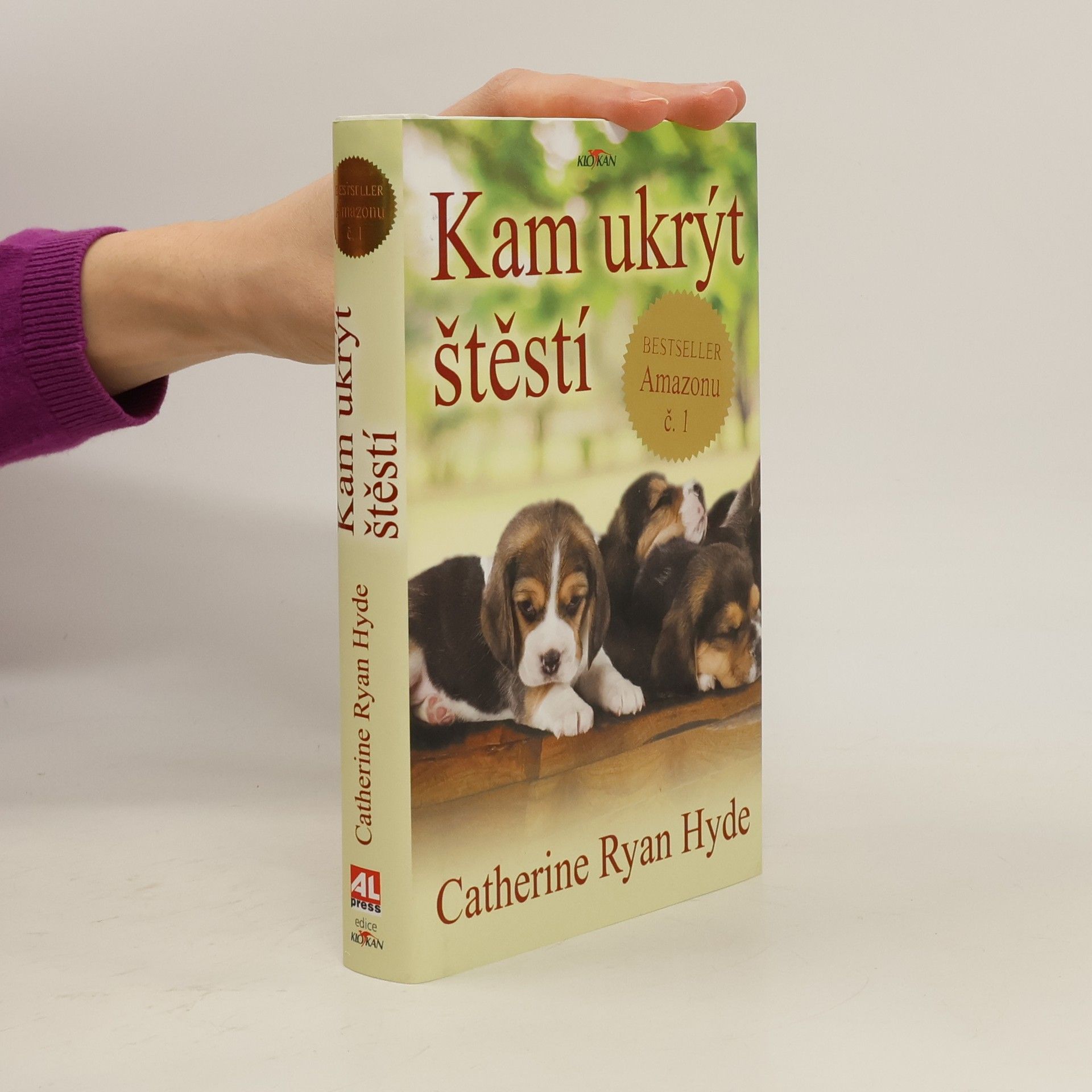 Catherine Ryan Hyde Kam ukrýt štěstí