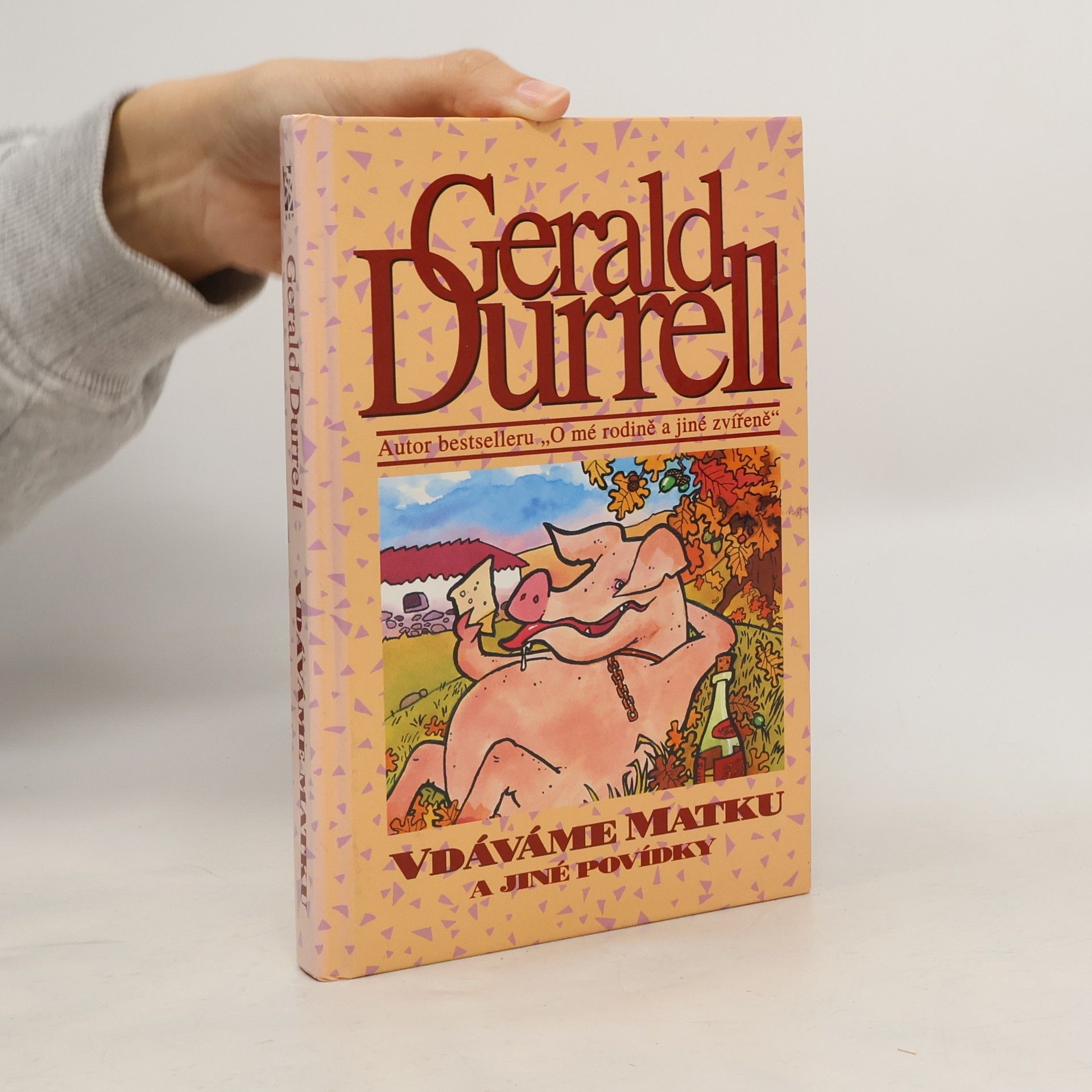 Vdáváme matku a jiné povídky