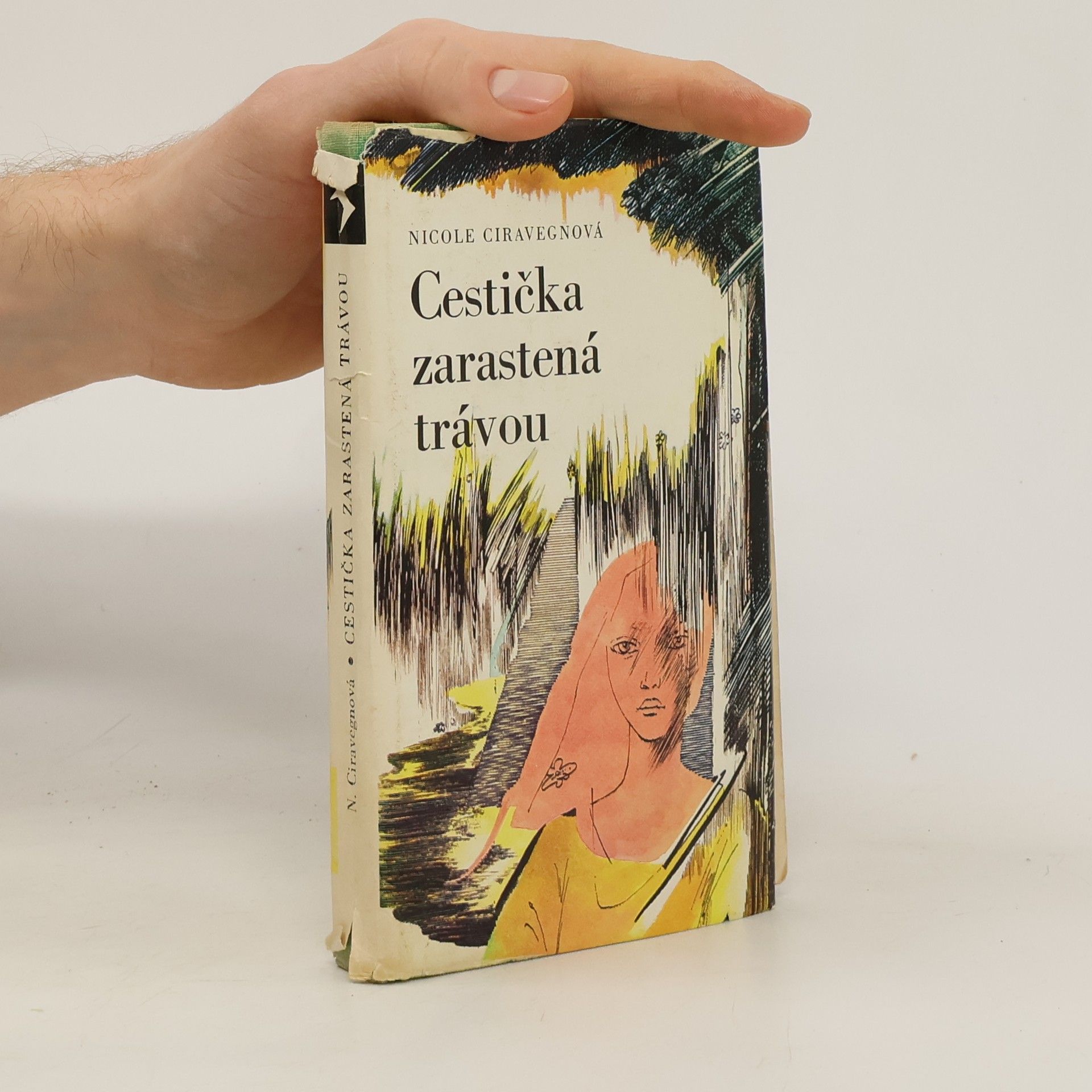 Cestička zarastená trávou