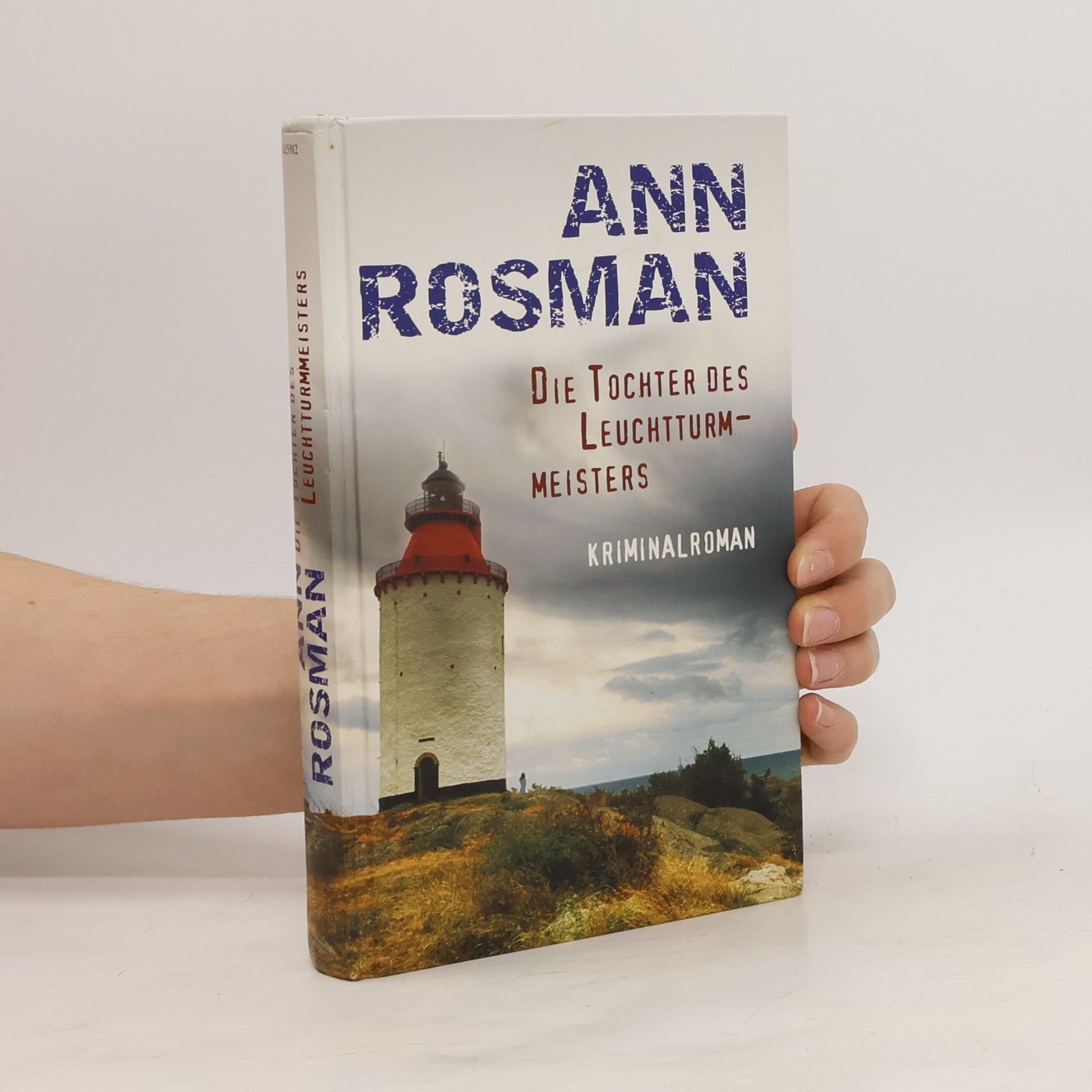 Ann Rosman Die Tochter des Leuchtturmmeisters