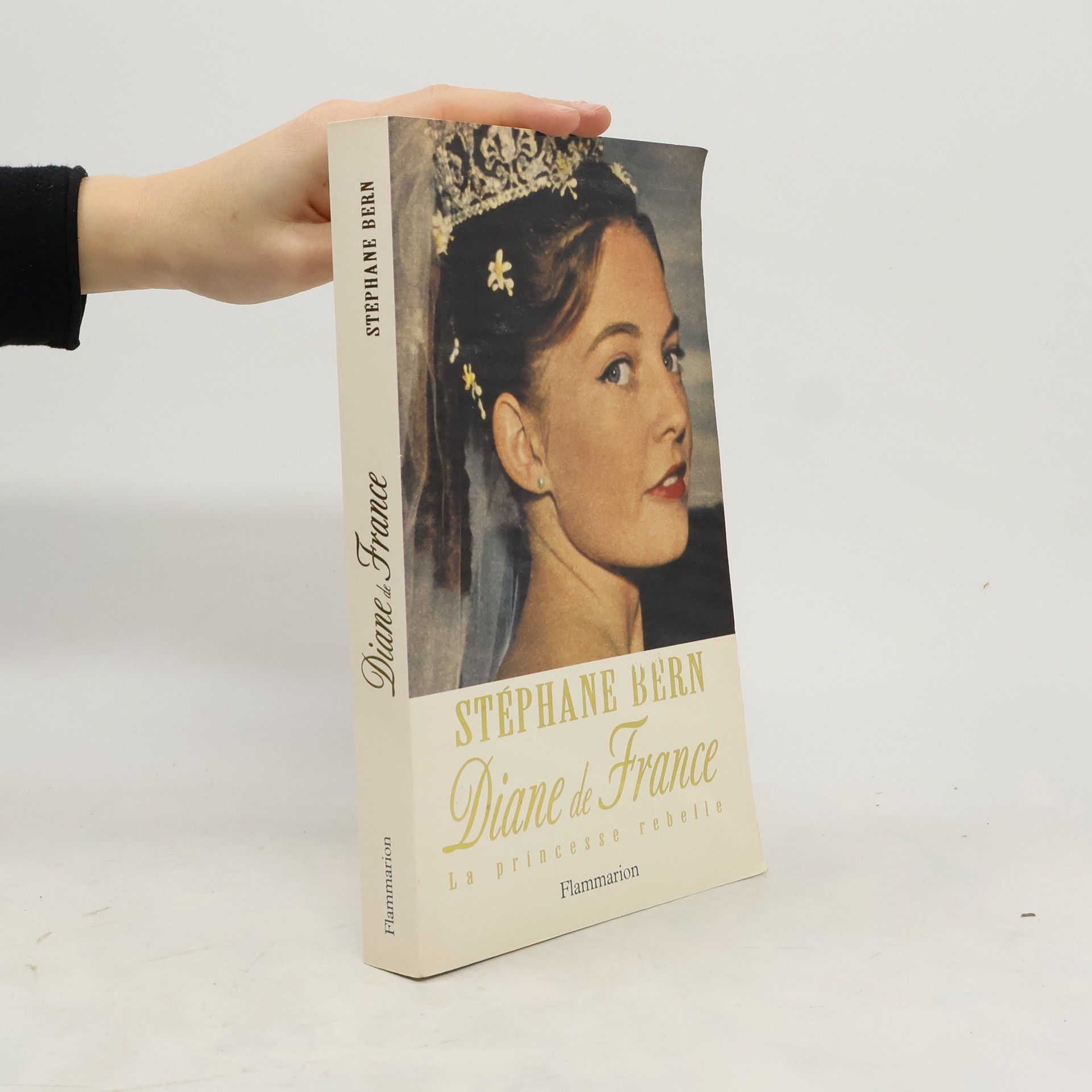 Stéphane Bern Diane de France, la princesse rebelle