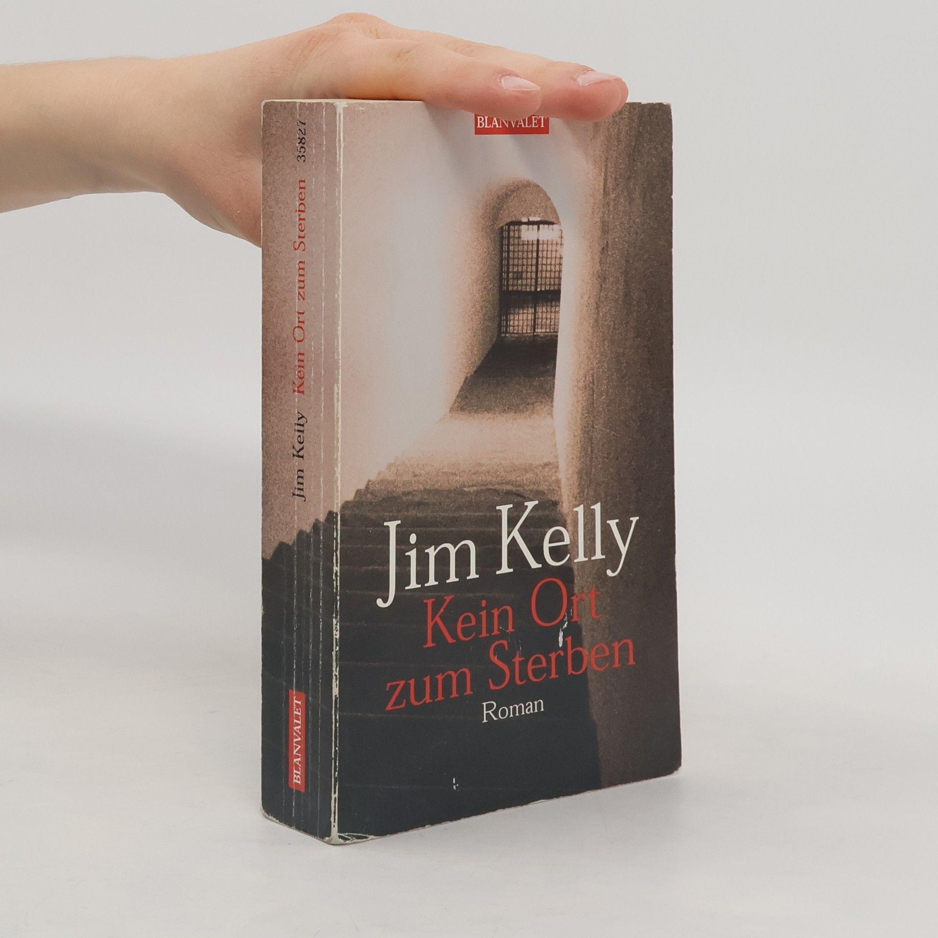 Kein Ort zum Sterben. Roman