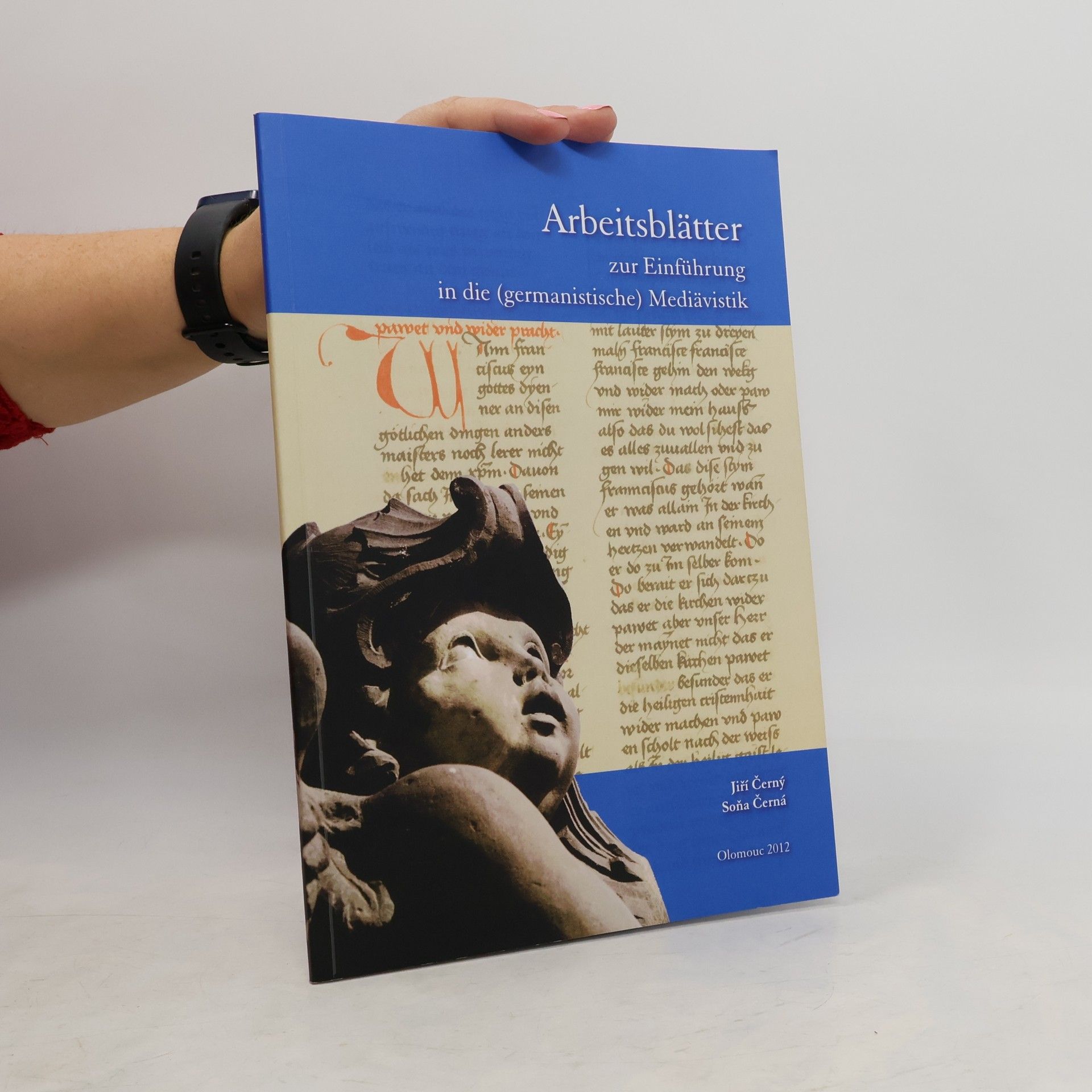 Kolektív autorov Einführung in die (germanistische) Mediävistik