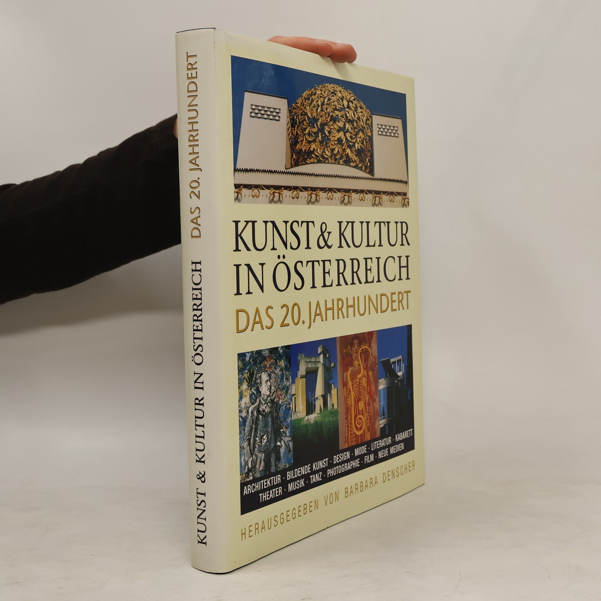 Barbara Denscher Kunst & Kultur in Österreich das 20. Jahrhundert