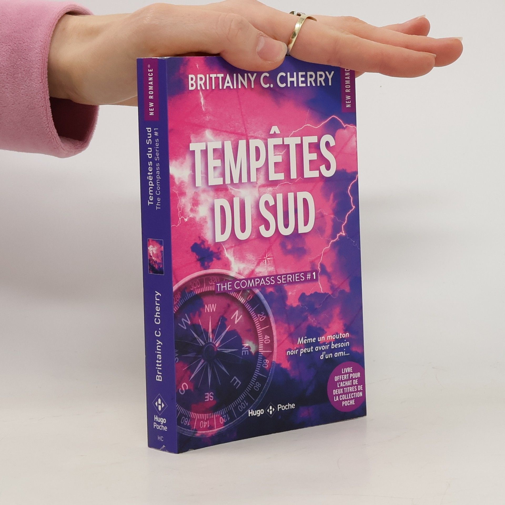 Brittainy C. Cherry Tempêtes du Sud