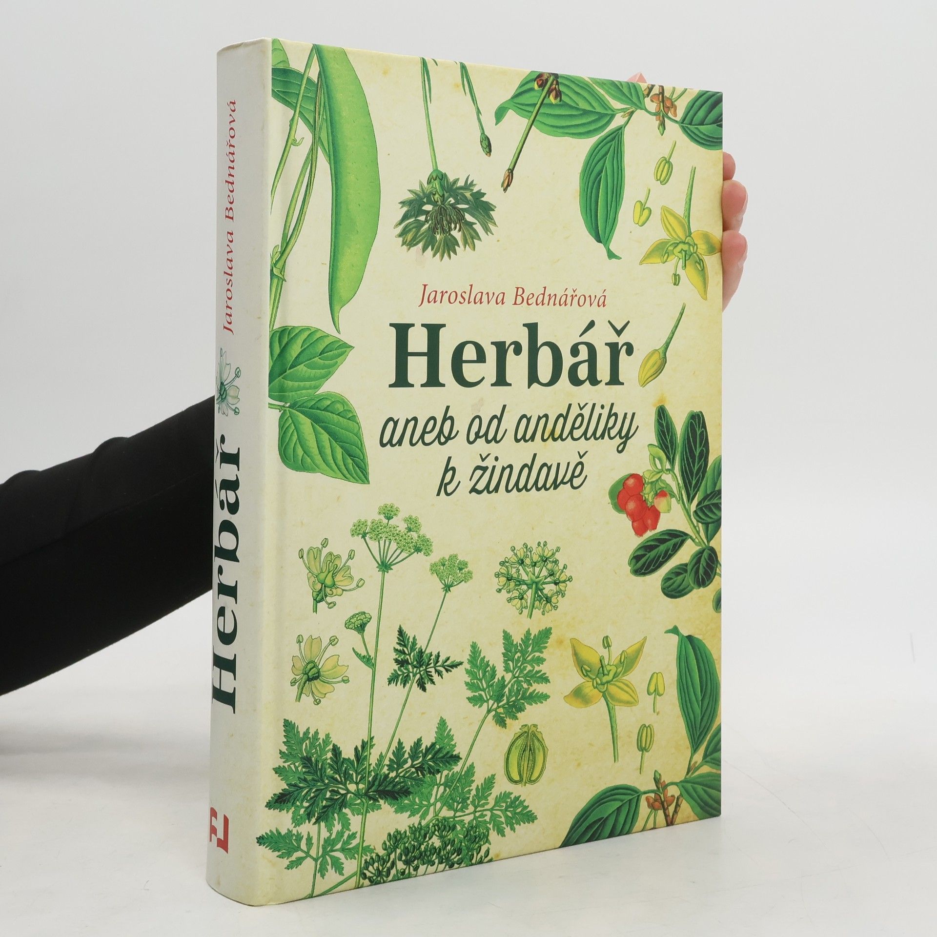 Jaroslava Bednářová Herbář, aneb, Od anděliky k žindavě